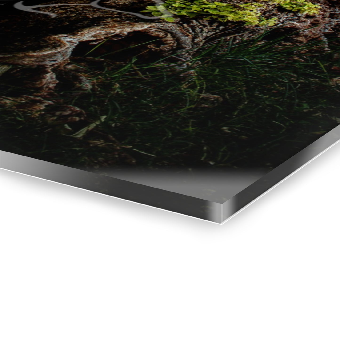 Natural Green Tree Acrylic