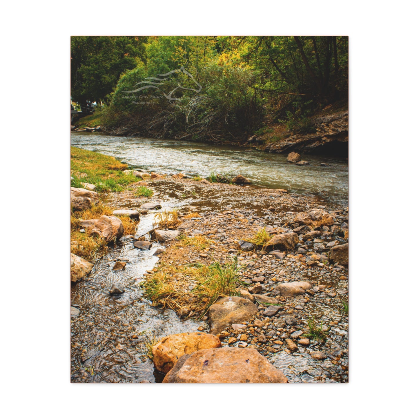 By the Water Ayres Natural Bridge Canvas