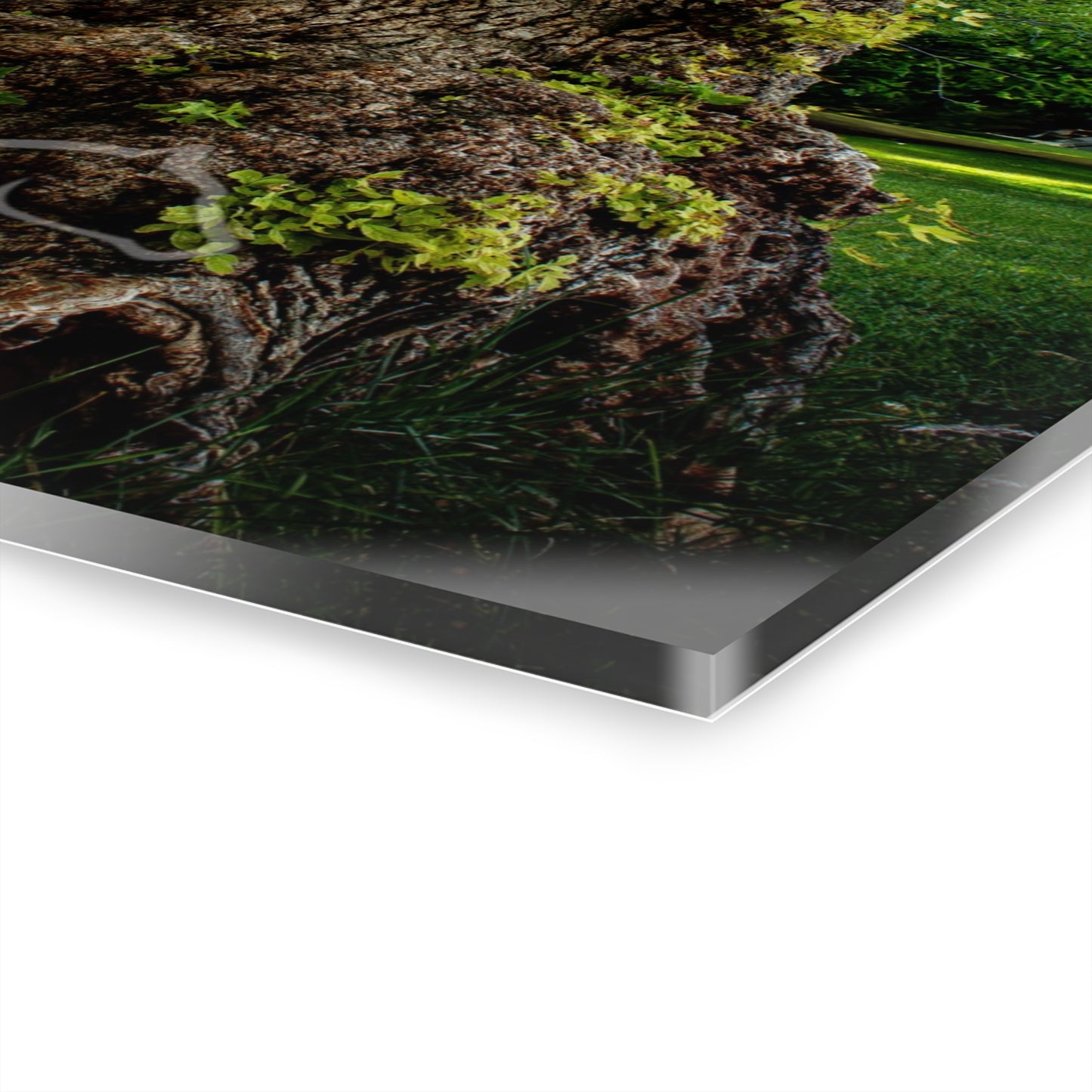 Natural Green Tree Acrylic