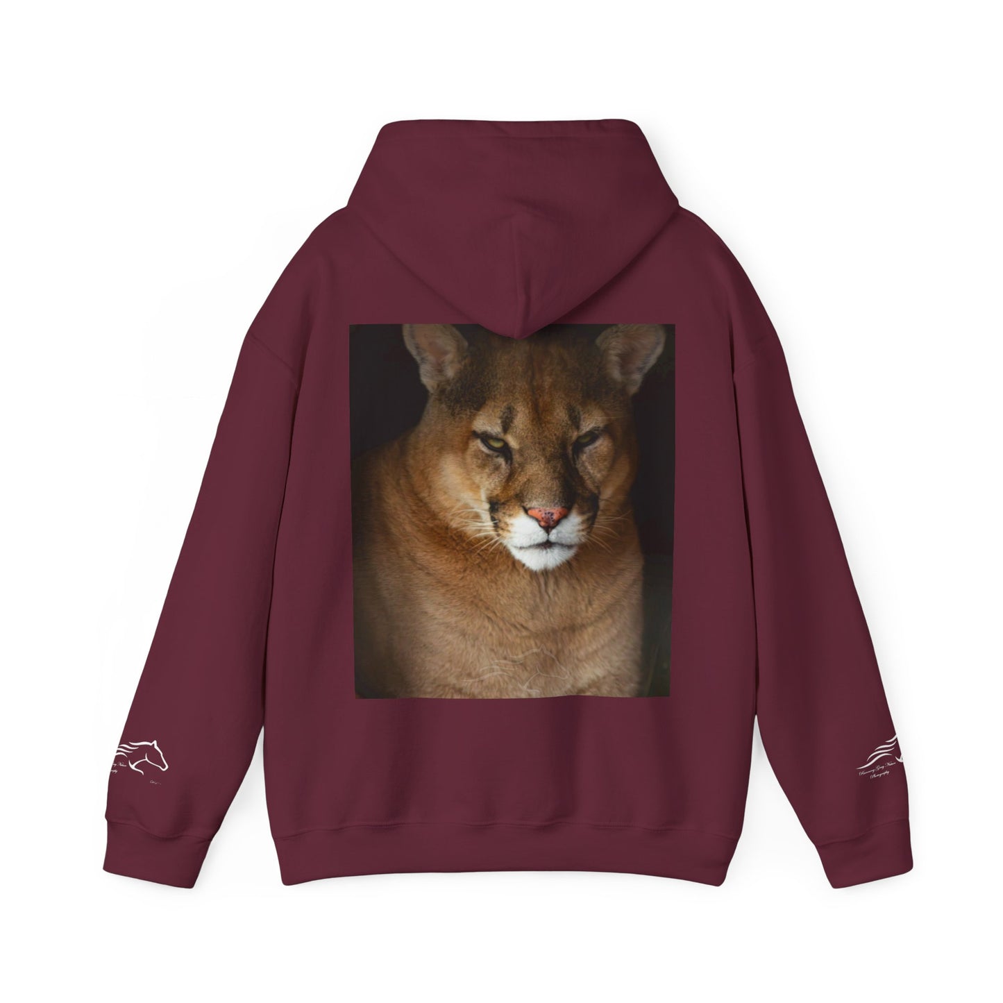 Big Cat Hoodie