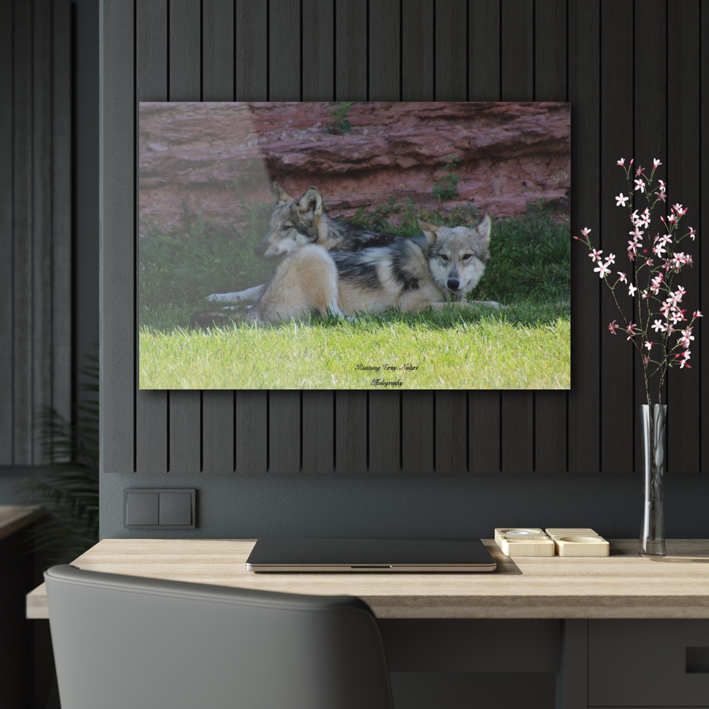 Wolves Acrylic Prints