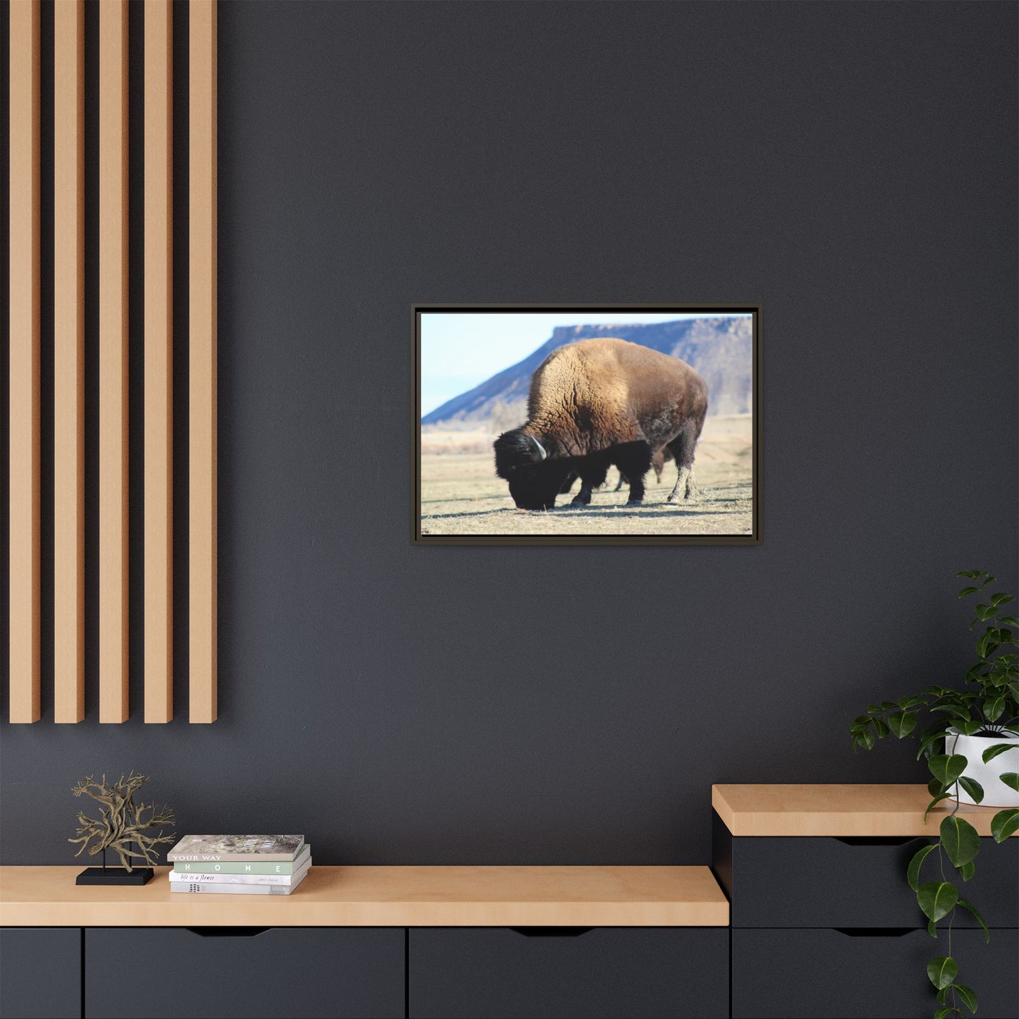 Big Daddy Buffalo Framed Canvas