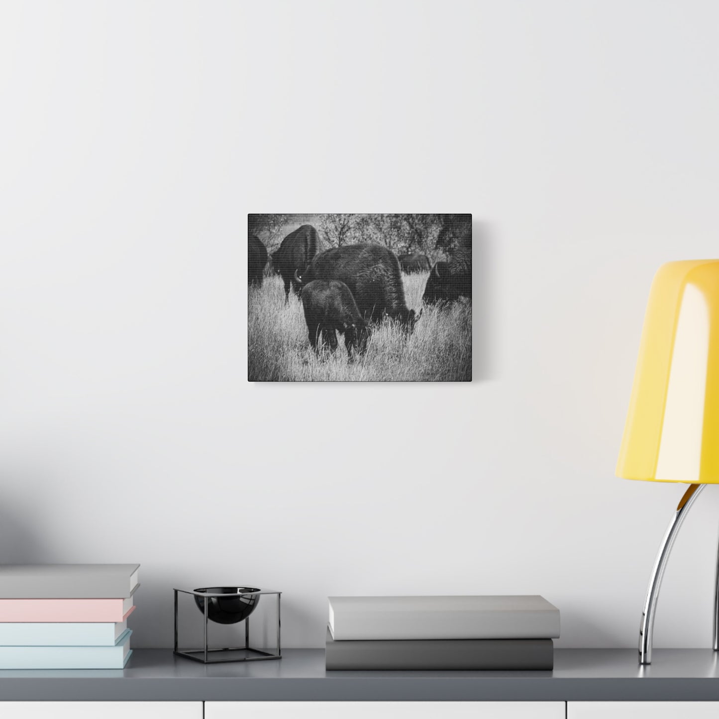 Black and White Buffalo Canvas