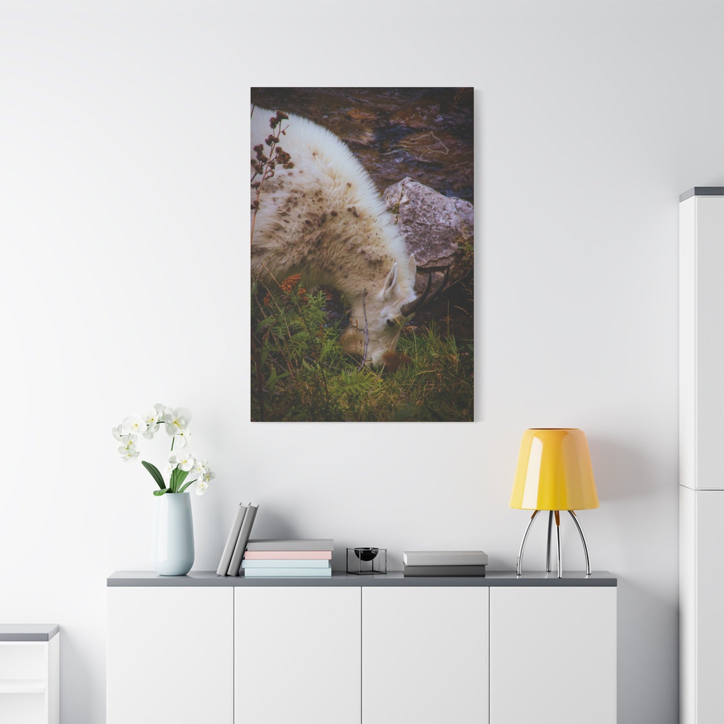 Mountain Goat Canvas