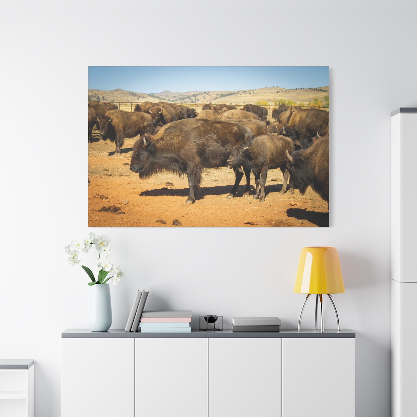 Momma and Baby Buffalo Canvas