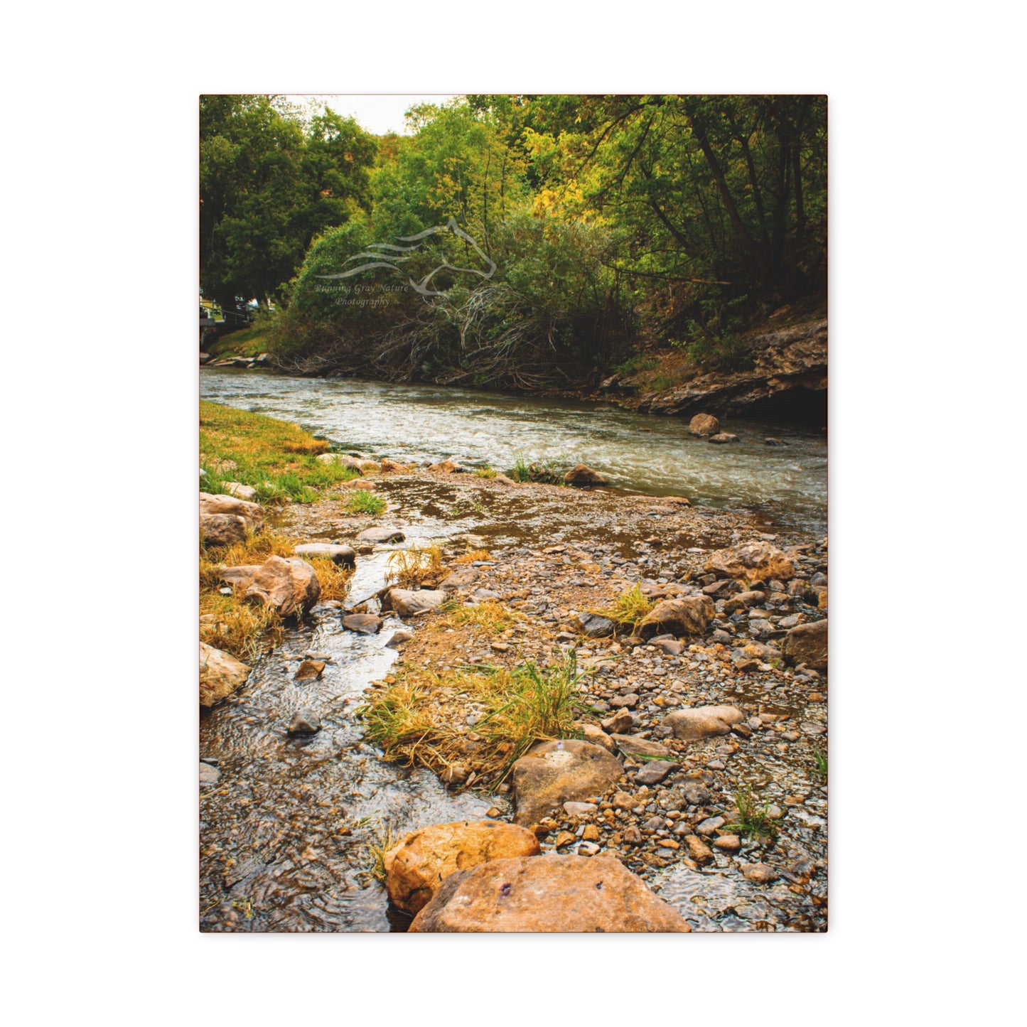 By the Water Ayres Natural Bridge Canvas