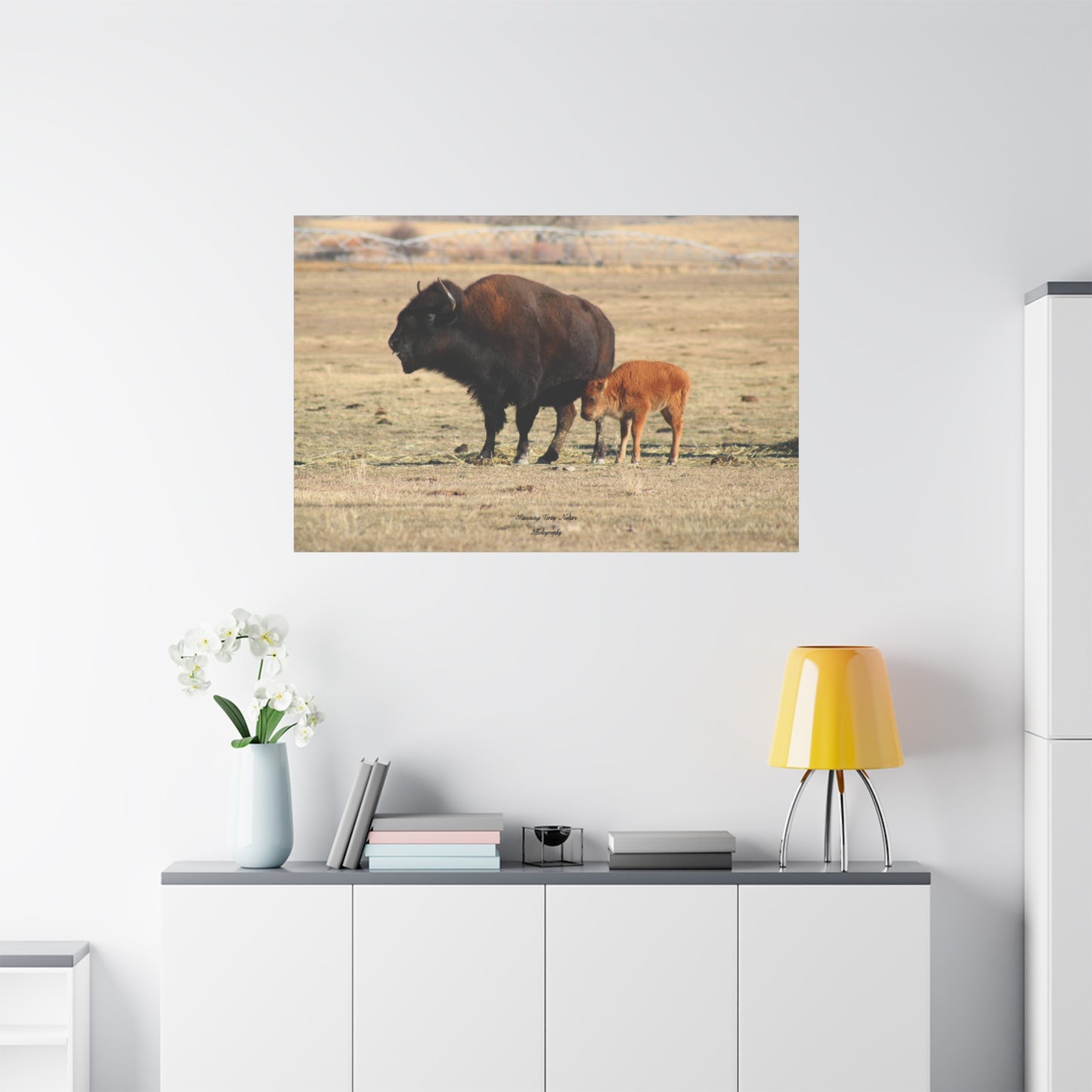 Momma and Baby Buffalo Matte Canvas, Stretched, 1.25"