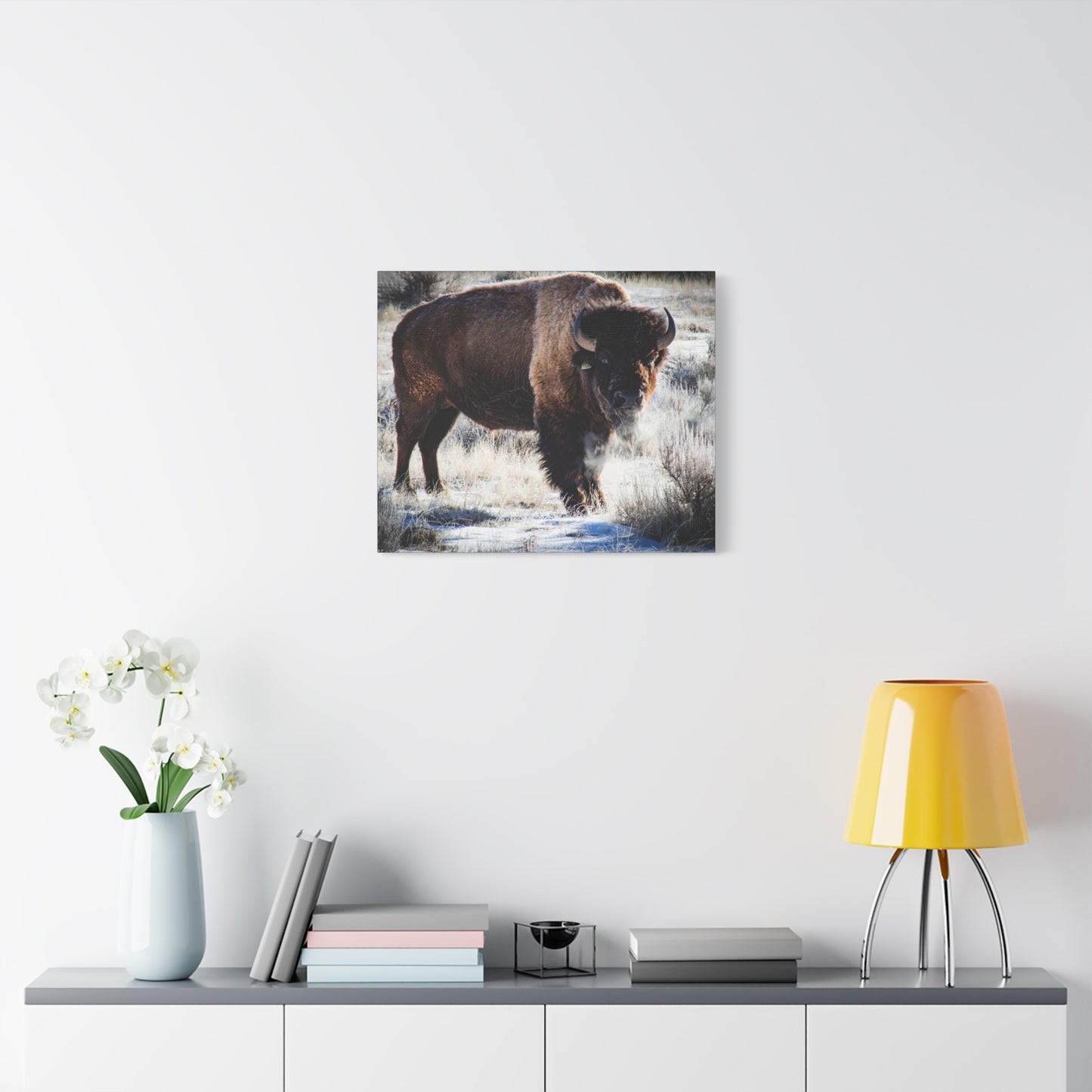 Early Morning Buffalo Canvas