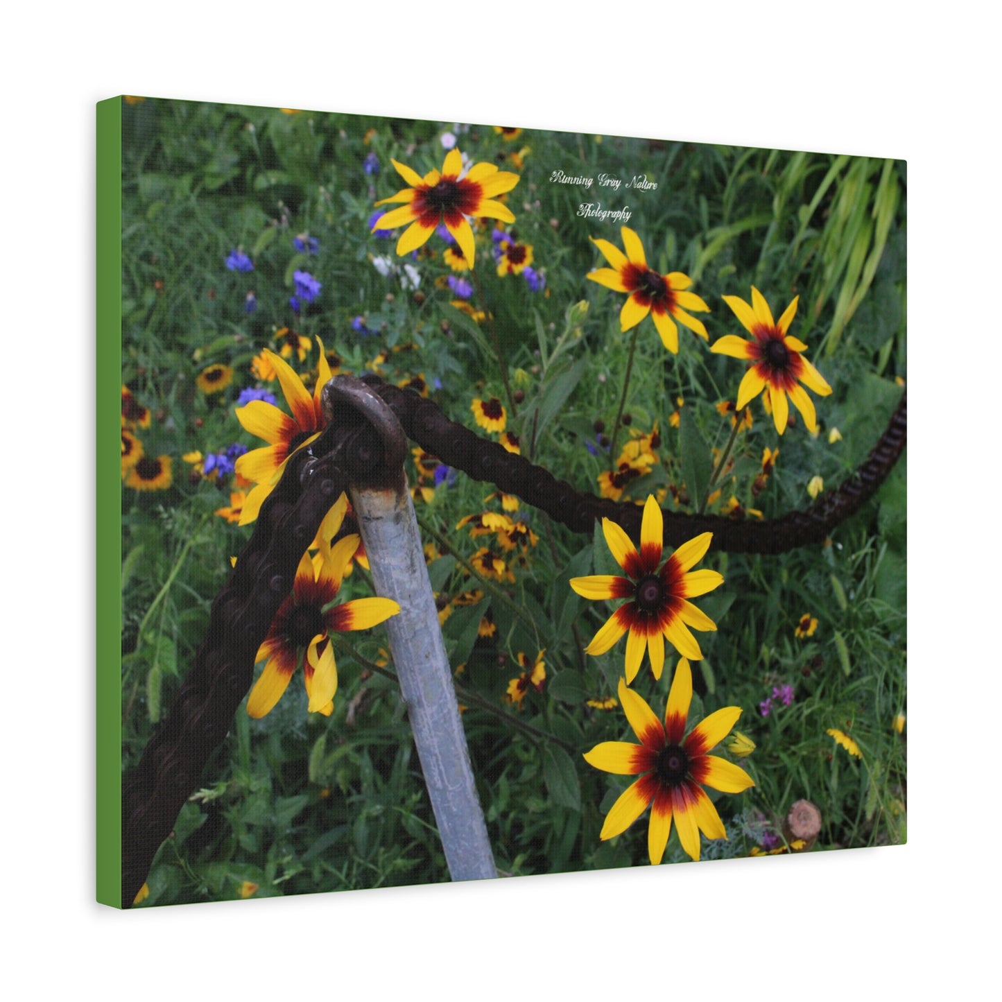 Red and Yellow Sunflowers Matte Canvas, Stretched, 1.25"