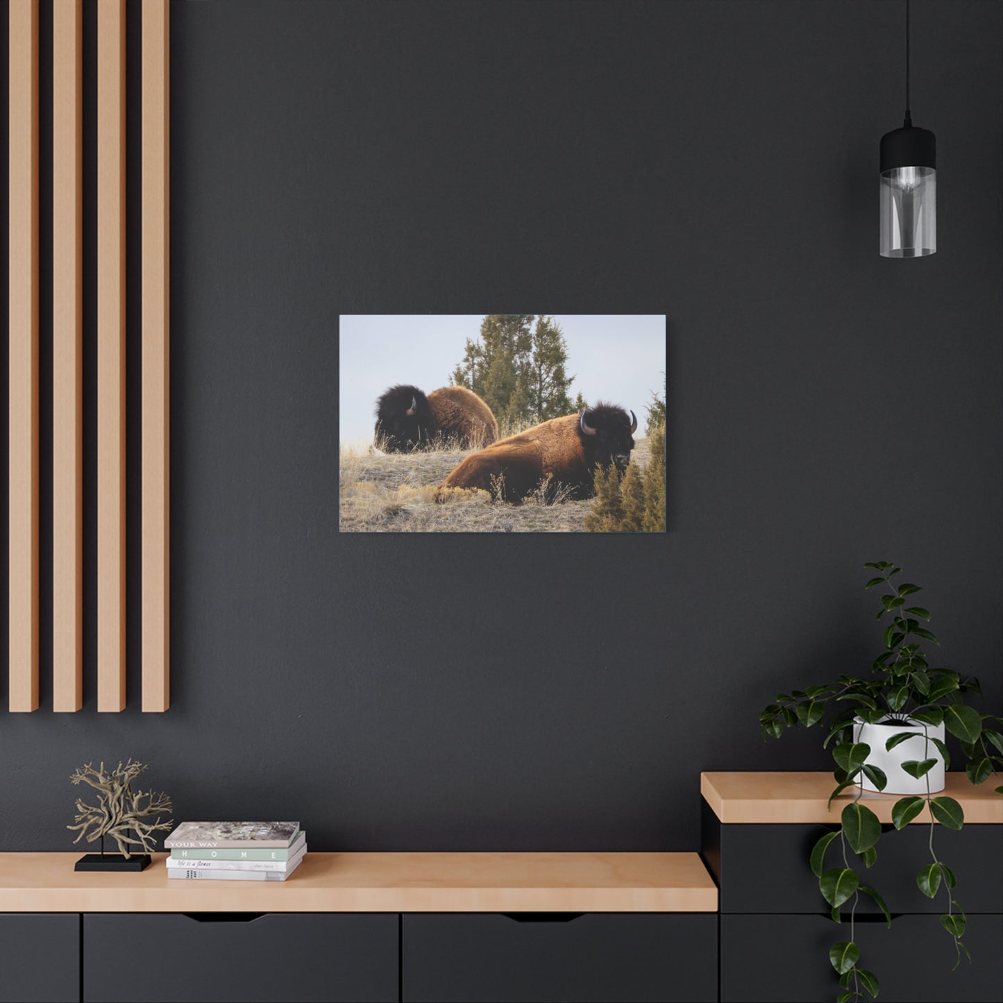 Two Bull Buffalo Canvas
