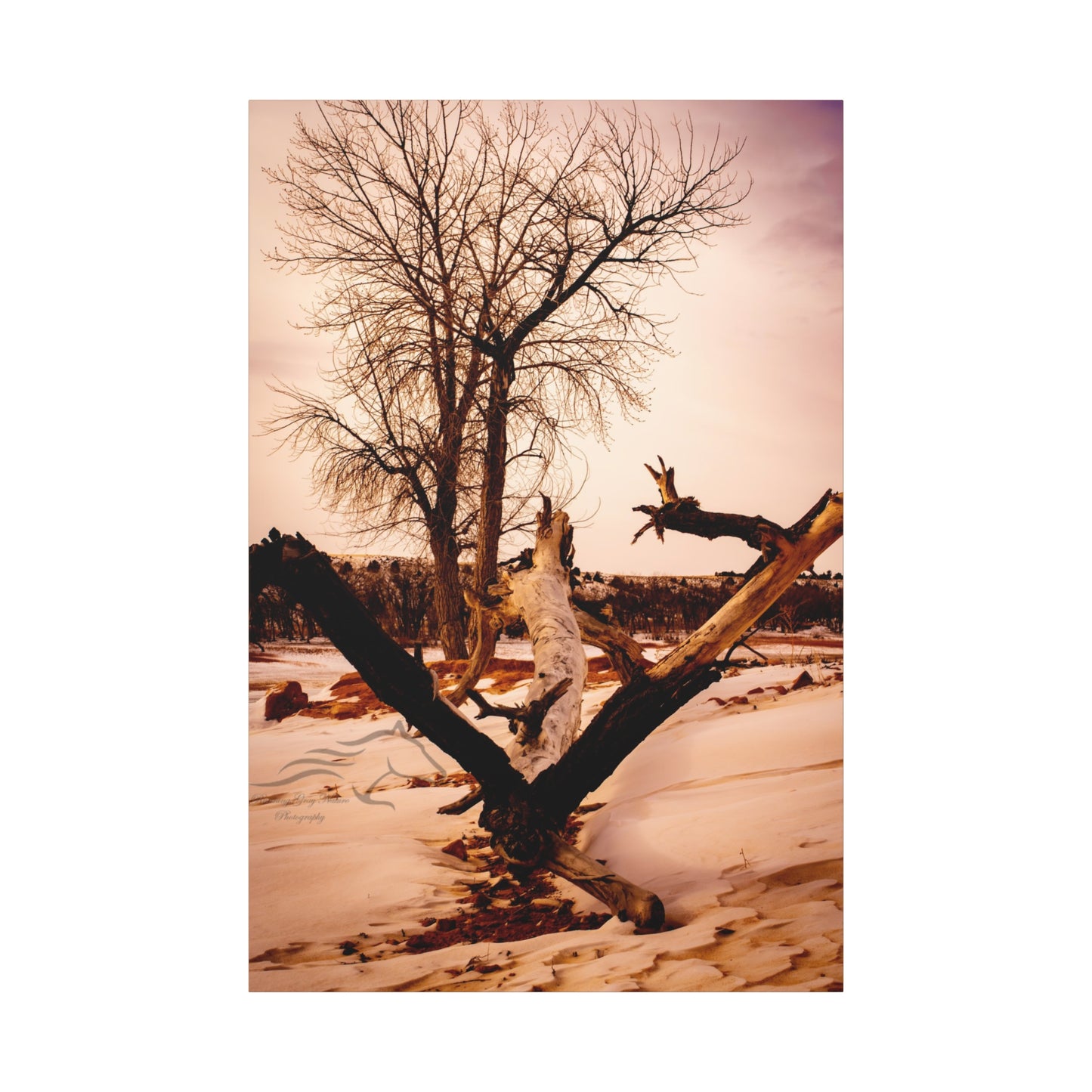 Rustic Landscape Canvas