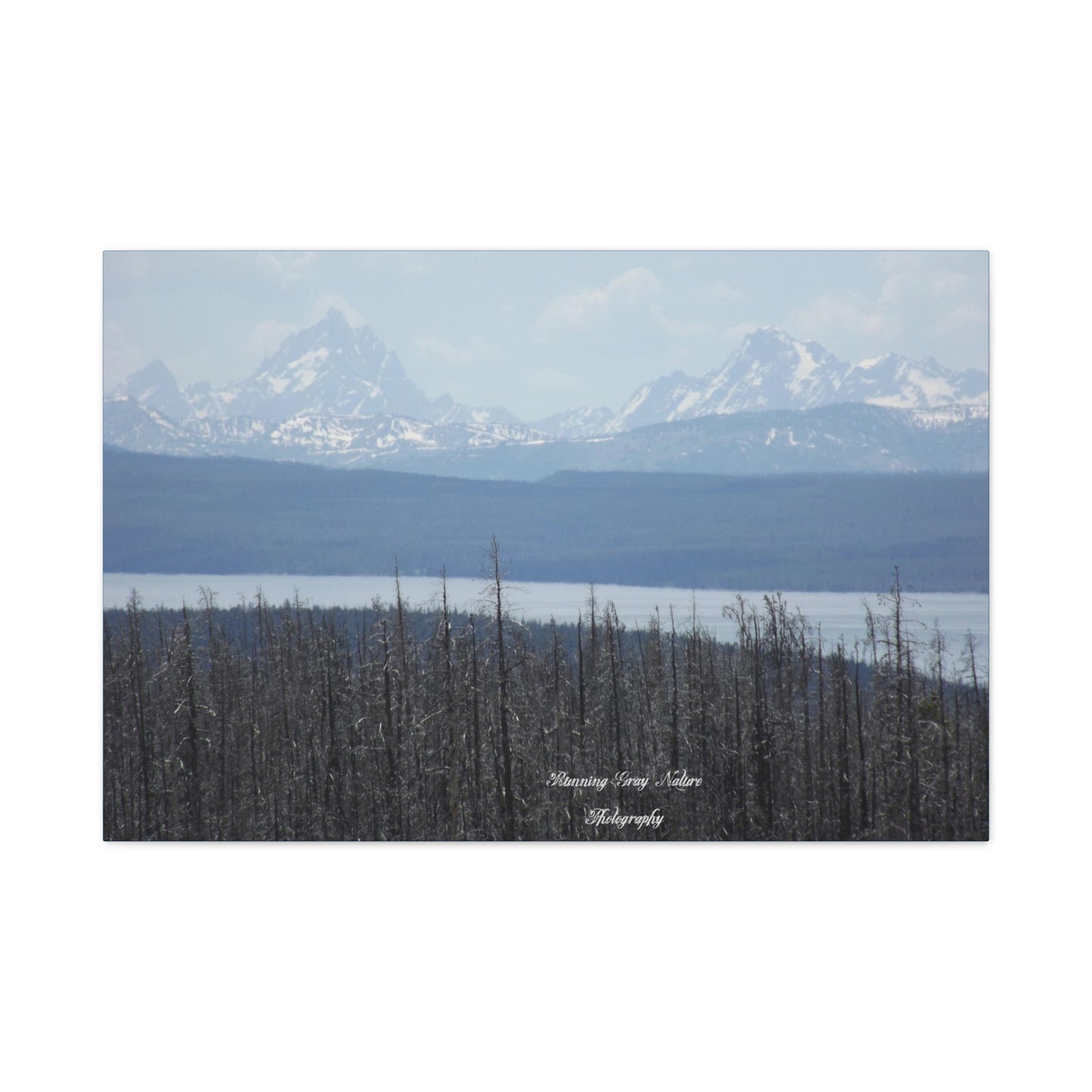 Teton Range Matte Canvas, Stretched, 1.25"