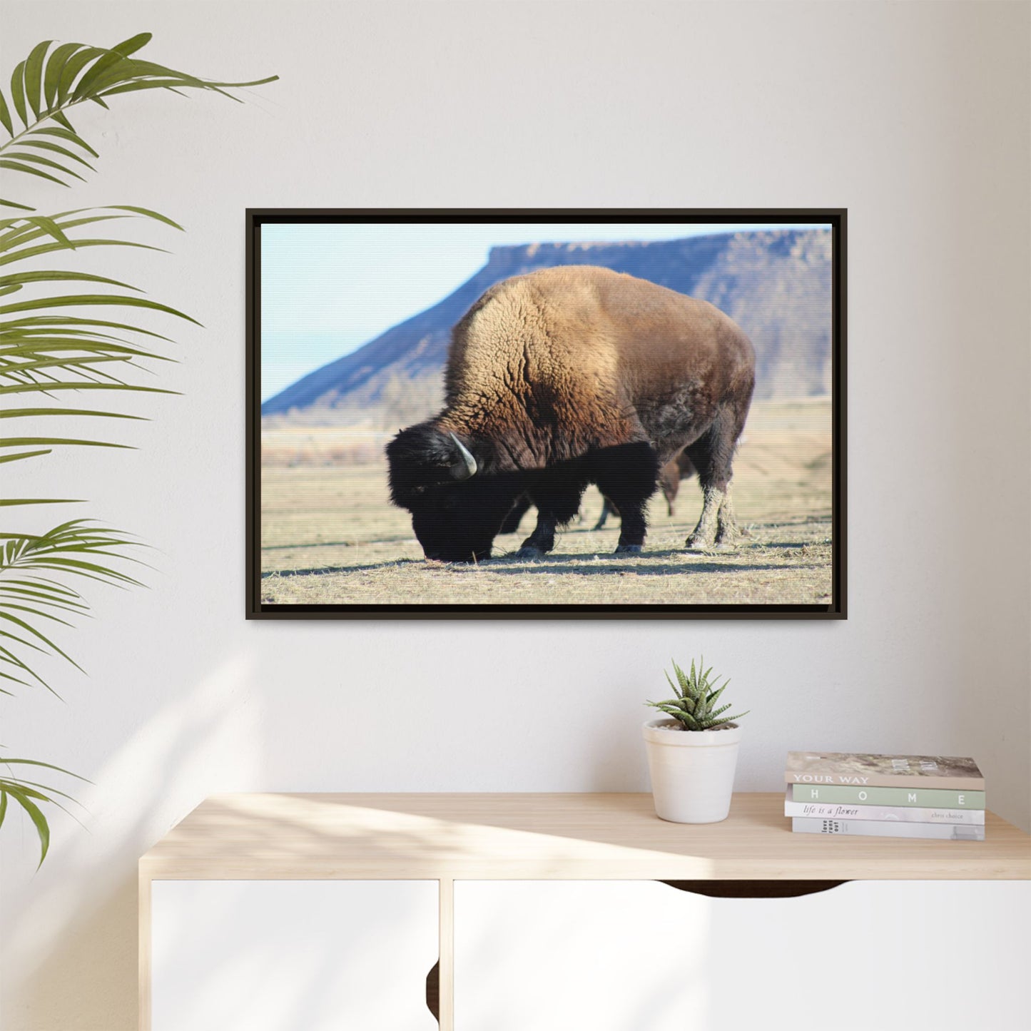 Big Daddy Buffalo Framed Canvas