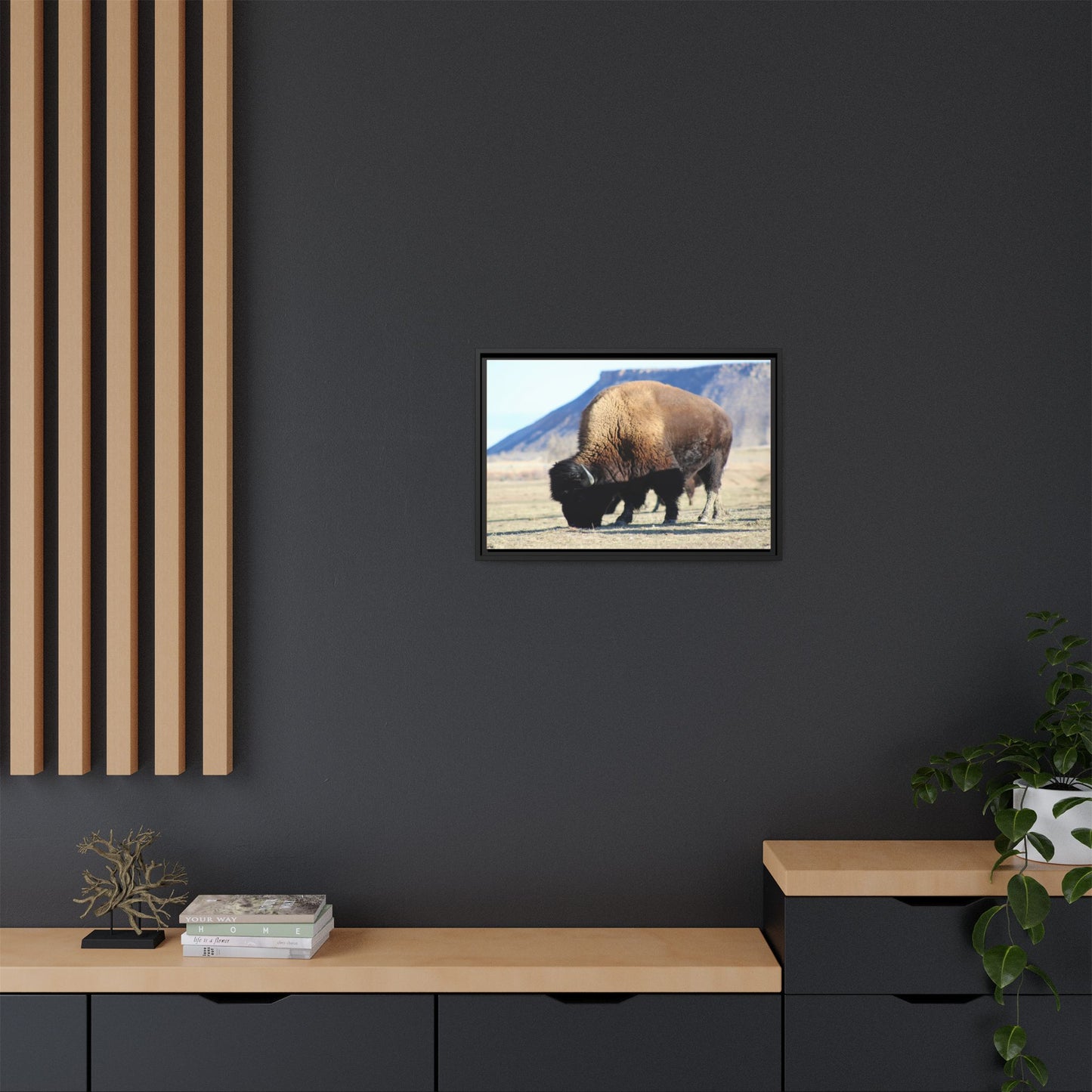 Big Daddy Buffalo Framed Canvas