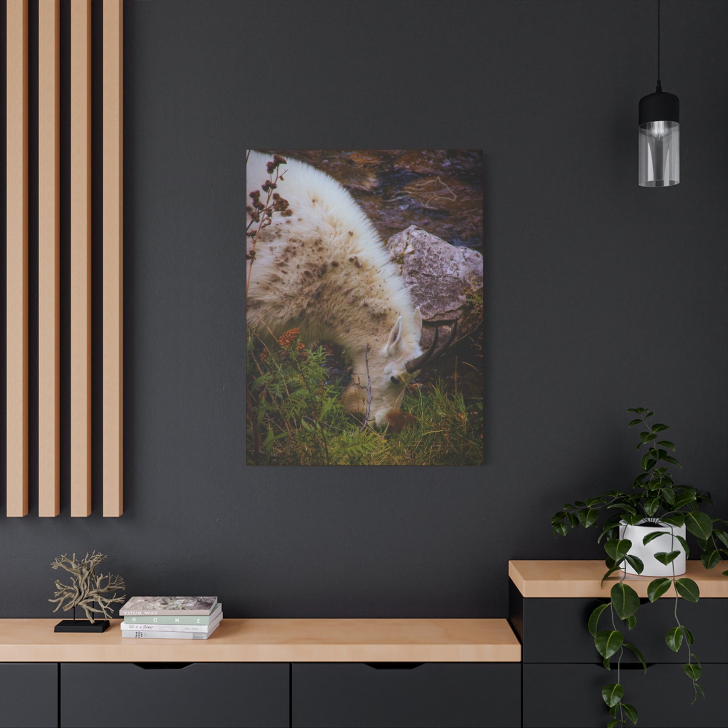Mountain Goat Canvas