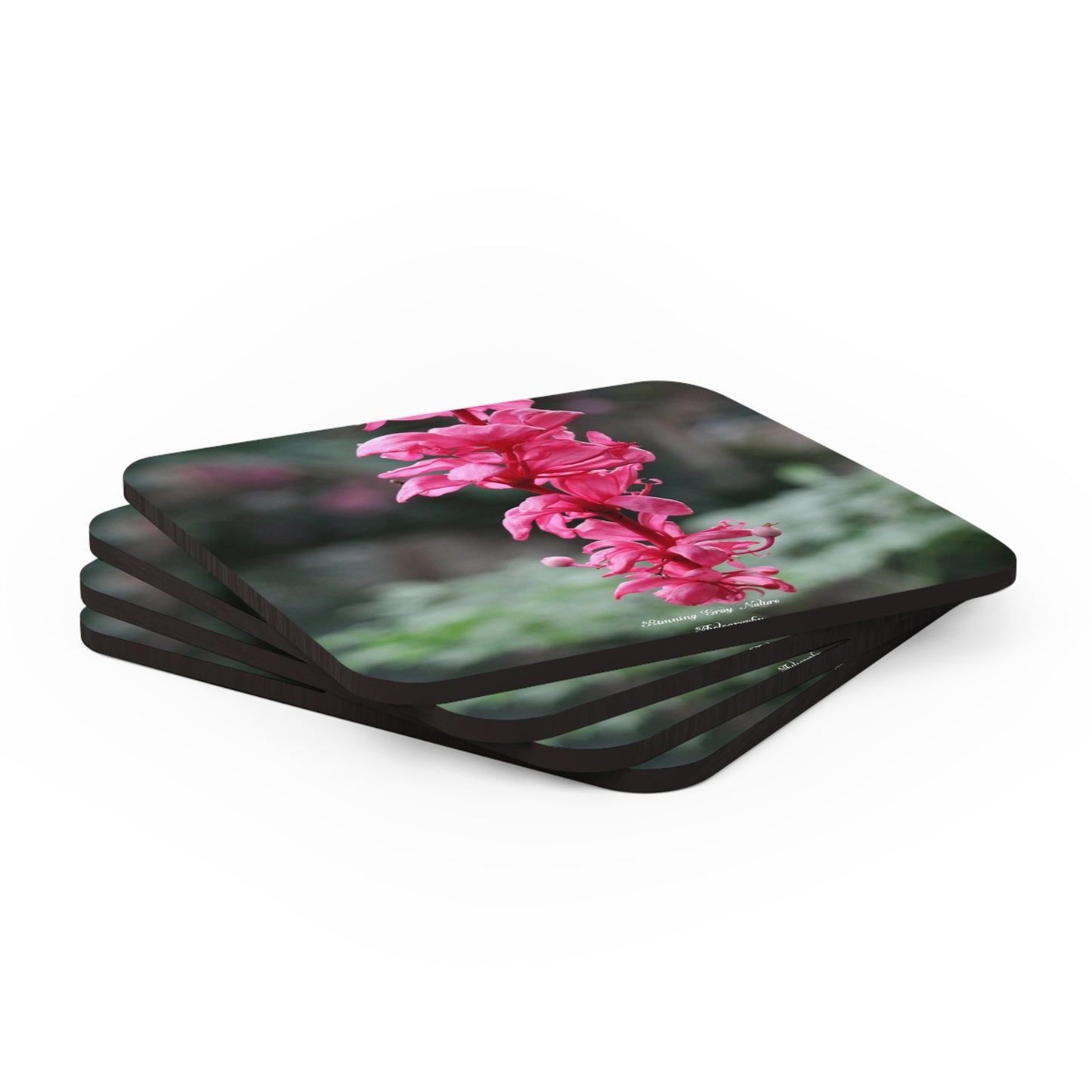 Showy Medinilla  Coaster Set