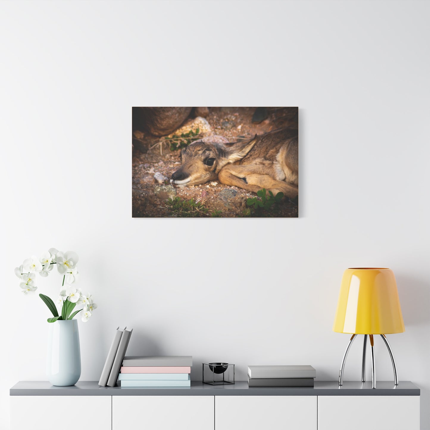 Baby Antelope Canvas