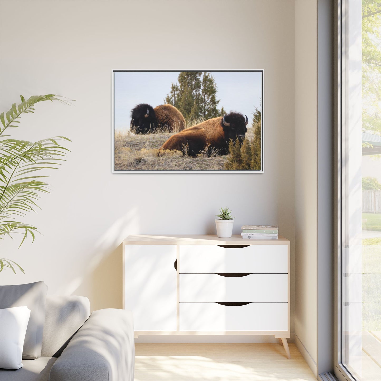 Two Bull Buffalo Framed Canvas