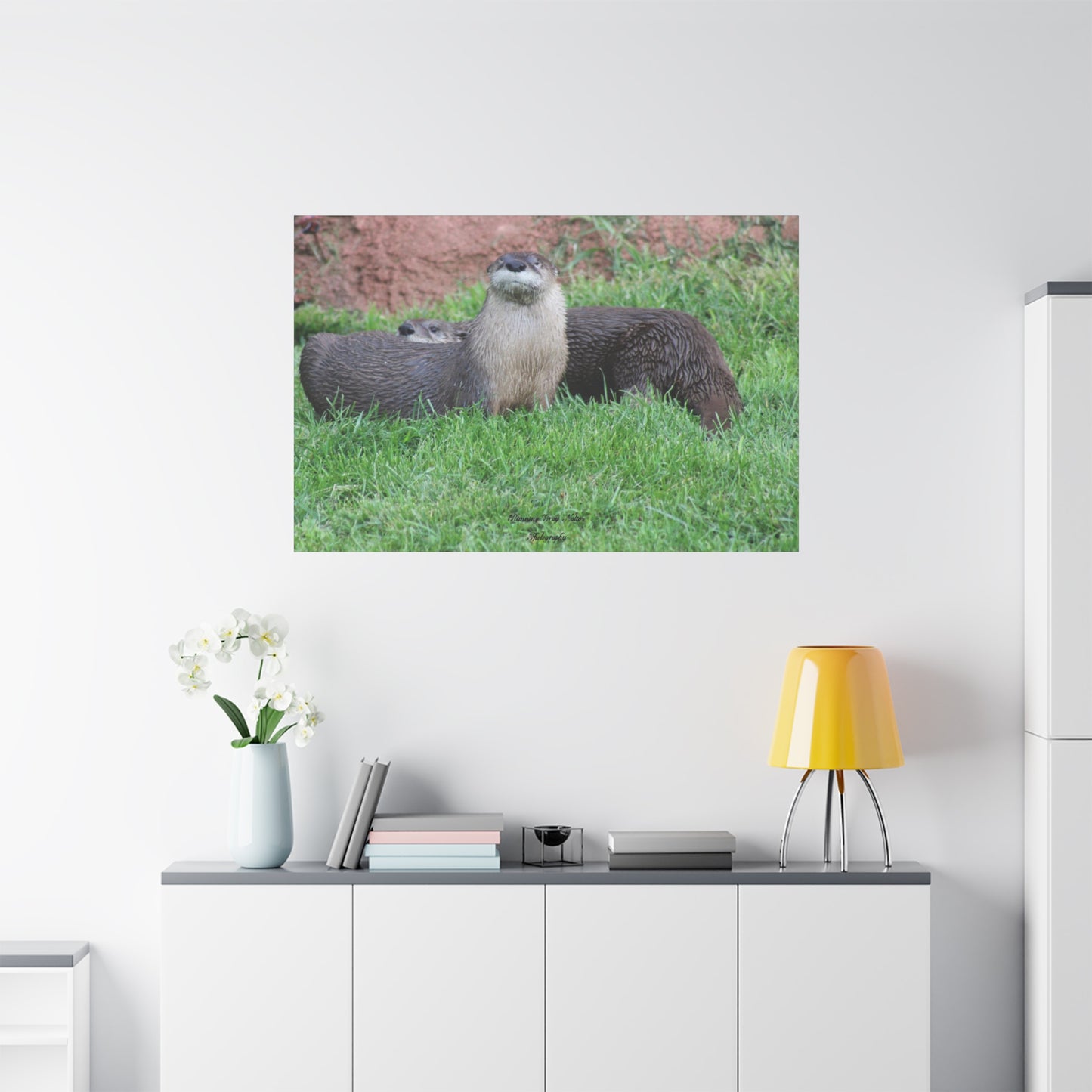 Otter Matte Canvas, Stretched, 1.25"