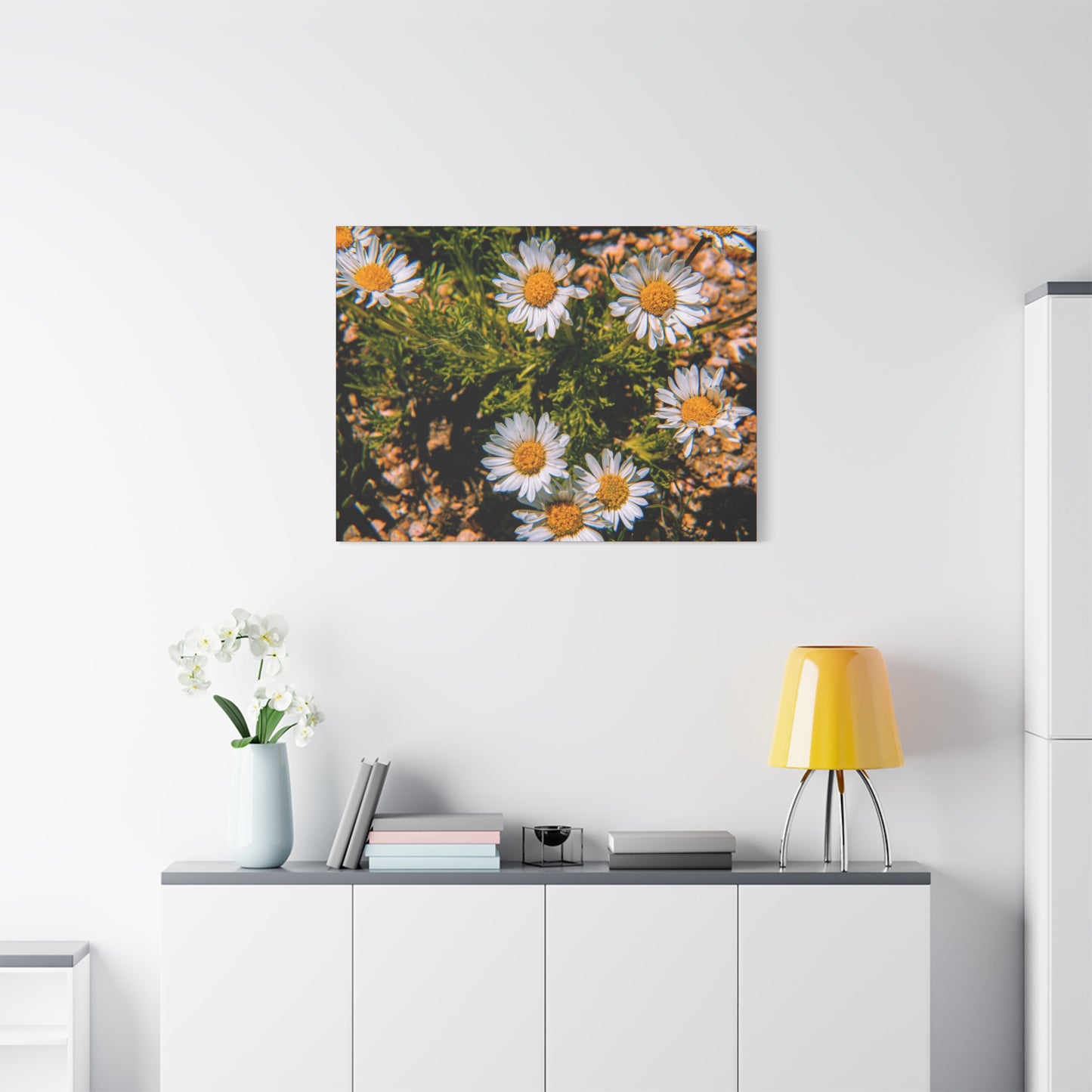 Wild Daisy Canvas