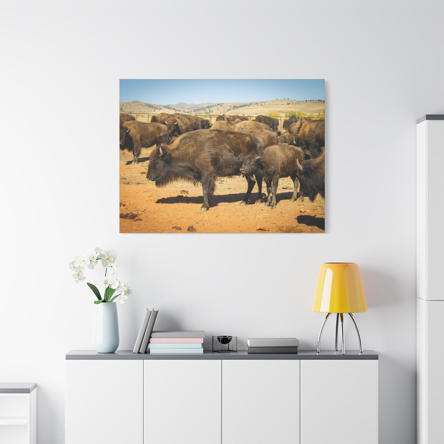 Momma and Baby Buffalo Canvas