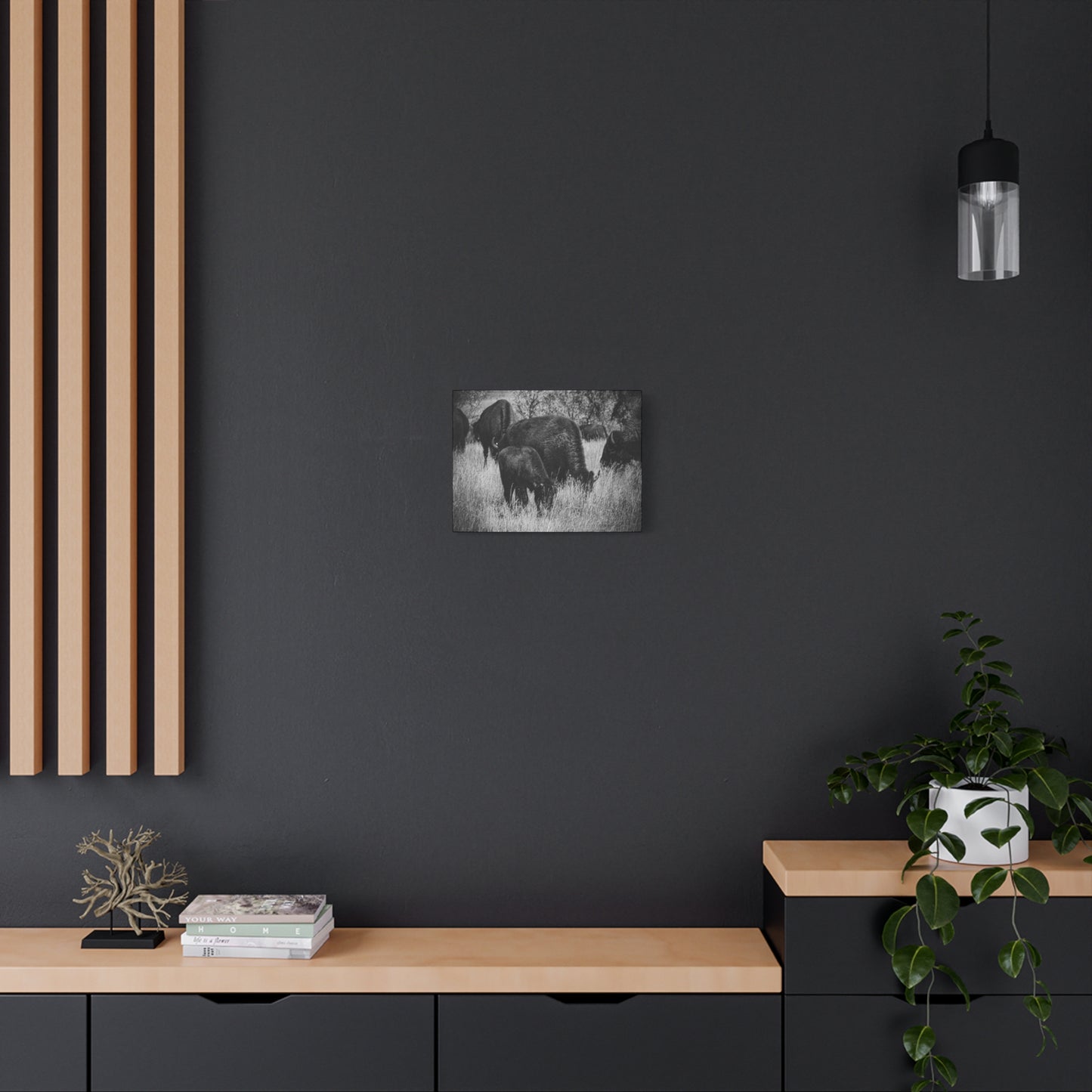 Black and White Buffalo Canvas