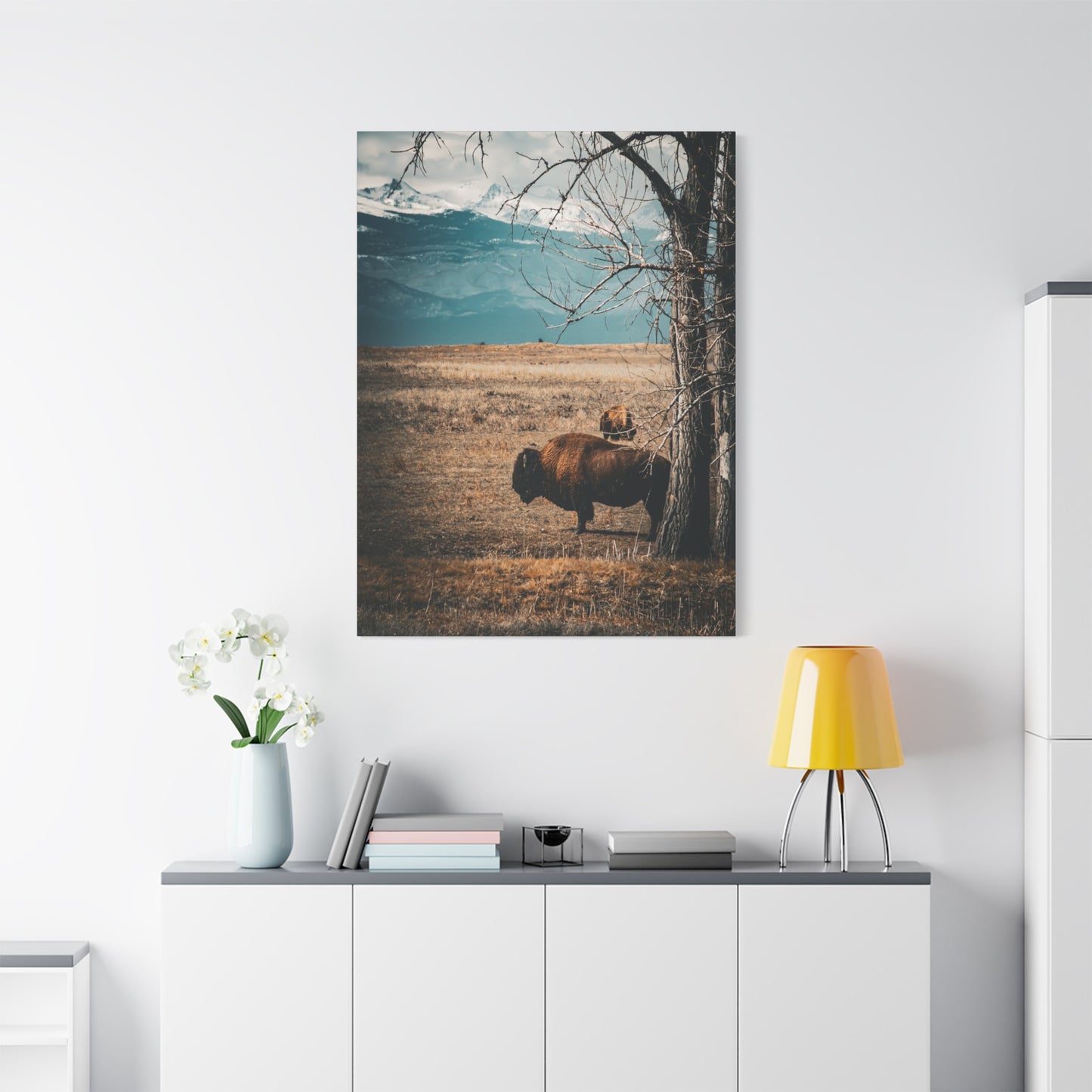 Rustic Bison Mountain Canvas