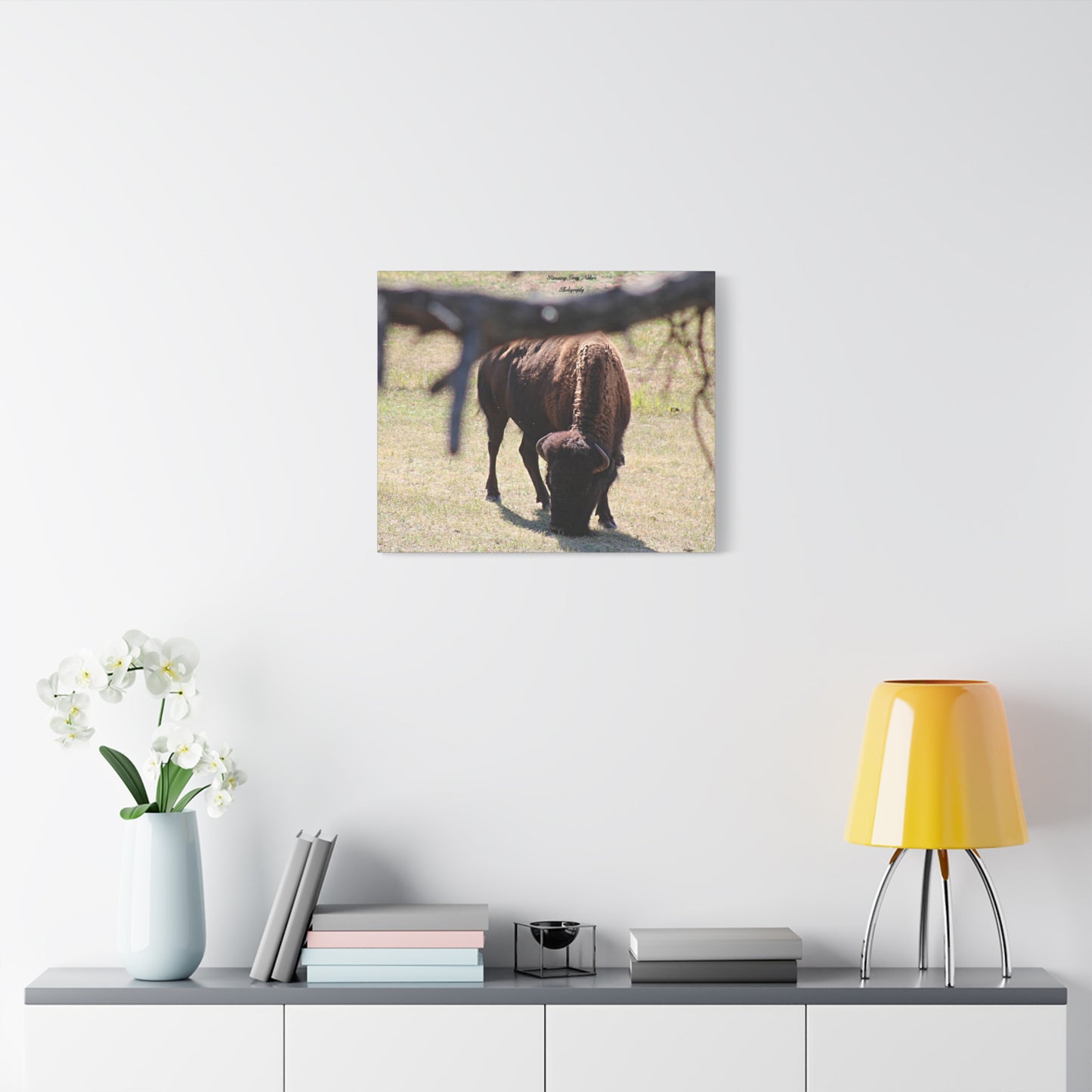 Buffalo Matte Canvas, Stretched, 1.25"