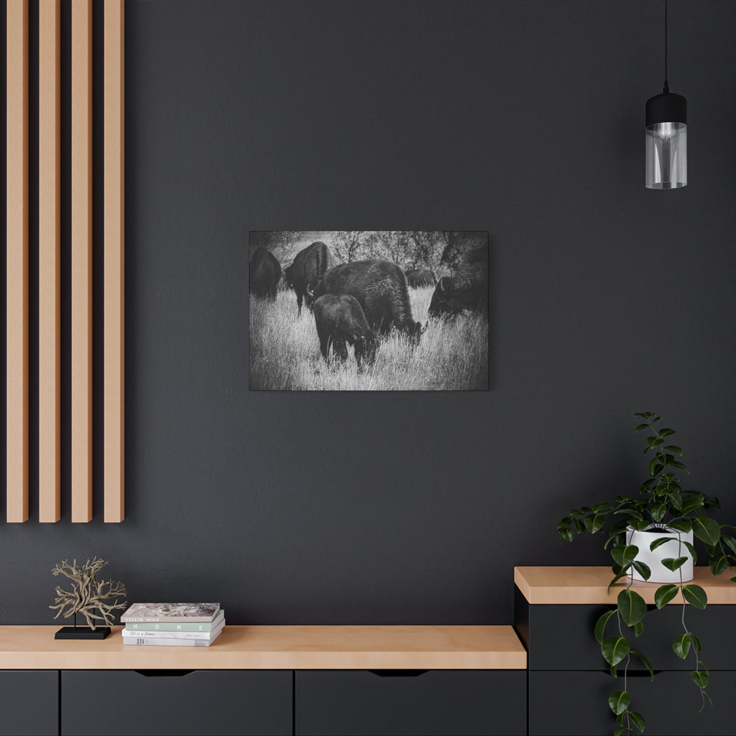 Black and White Buffalo Canvas