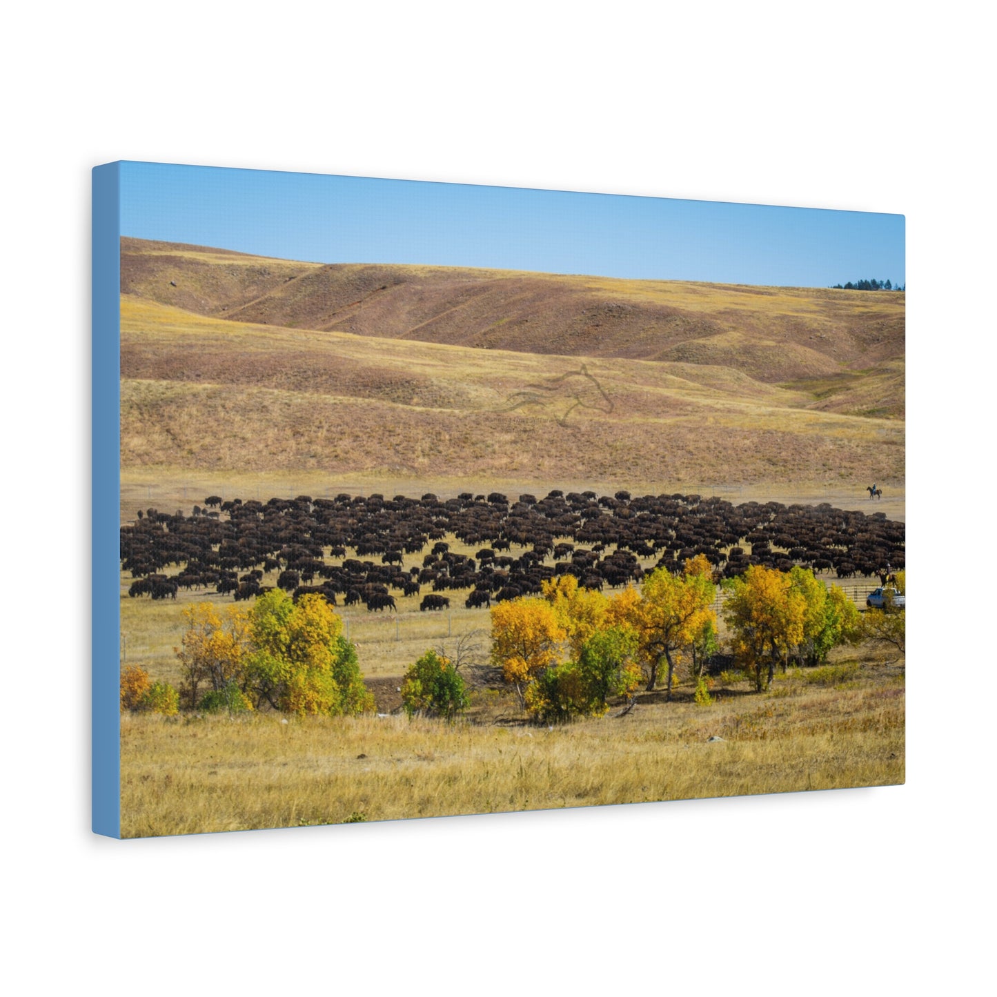 Final look Buffalo Round Up