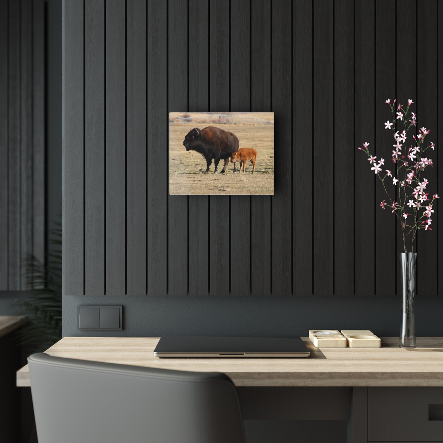 Momma and Baby Buffalo Acrylic Prints