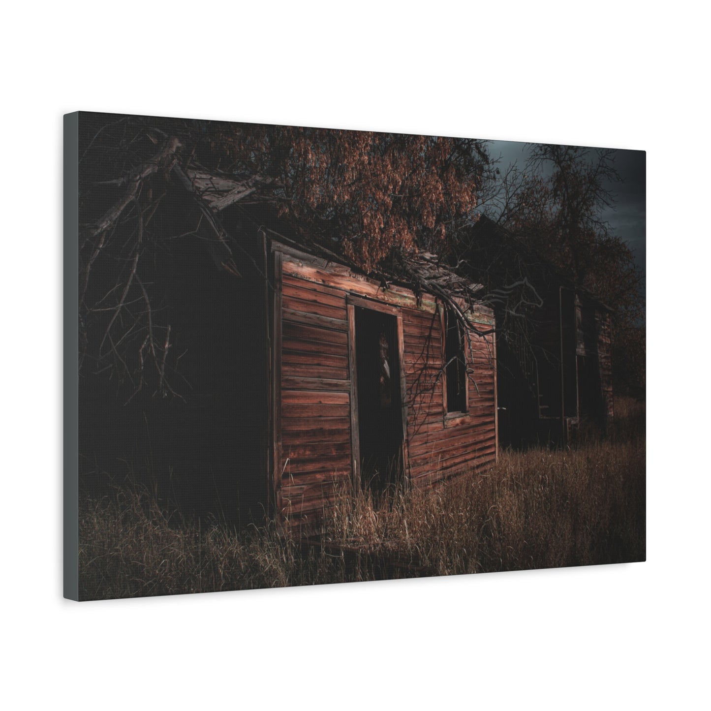 Haunting Rustic Canvas
