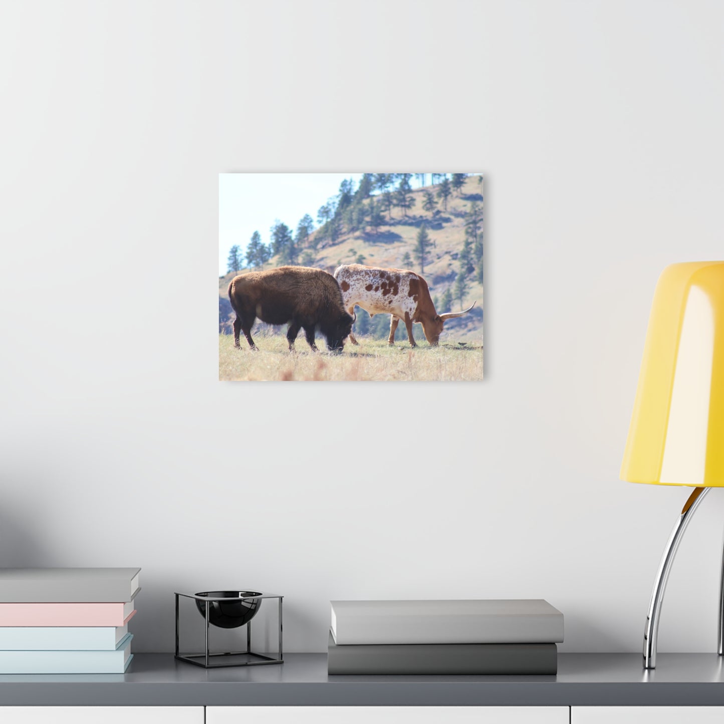 Long Horn and Buffalo Acrylic