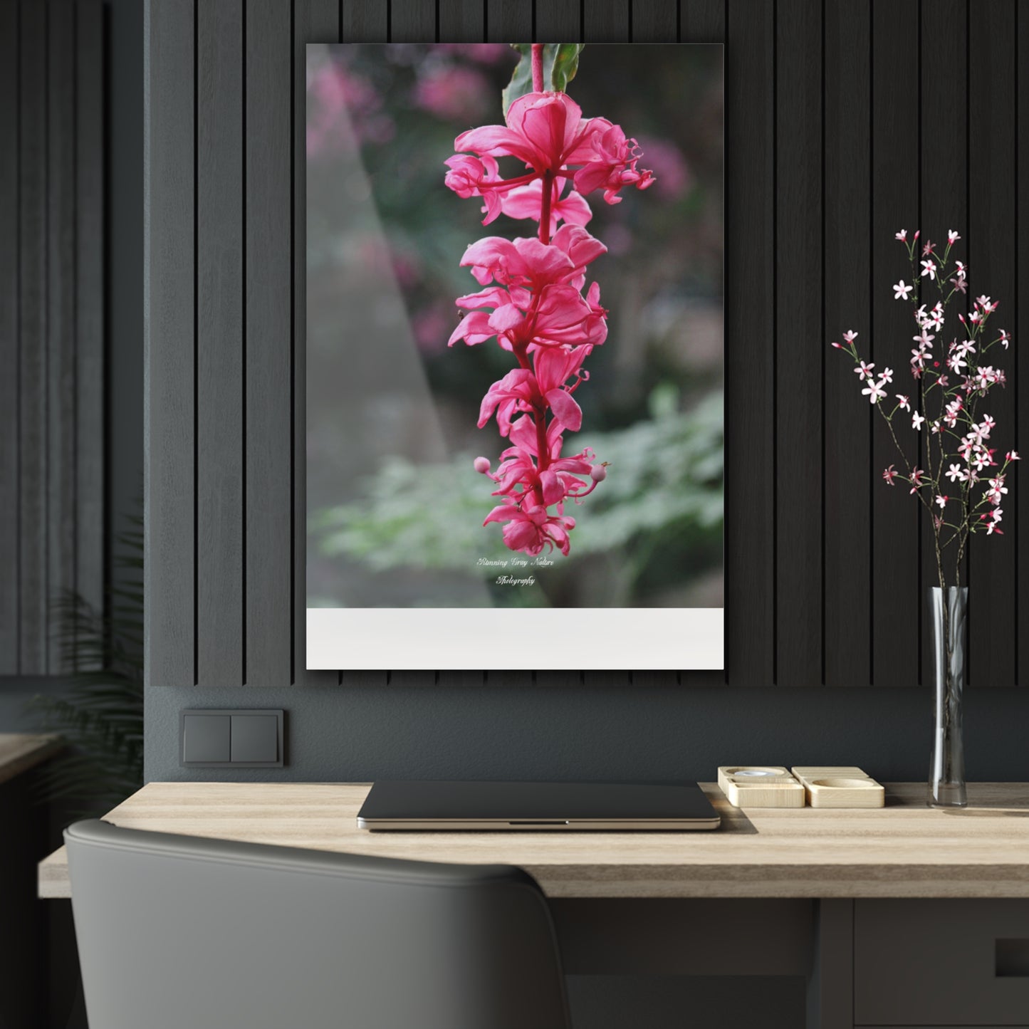 Showy Medinilla Acrylic Prints