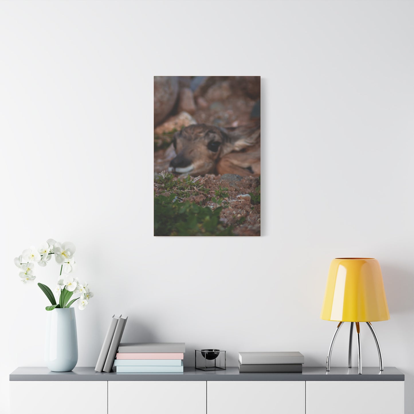 Gentle Antelope Fawn Canvas