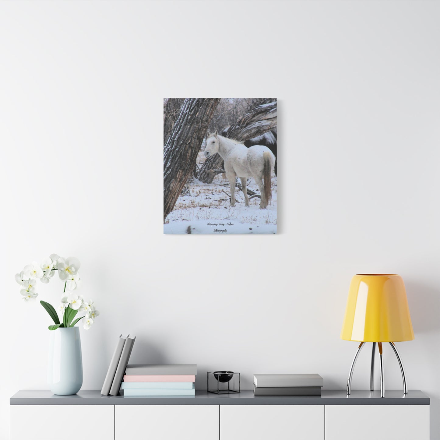 Winter White Horse Matte Canvas, Stretched, 1.25"