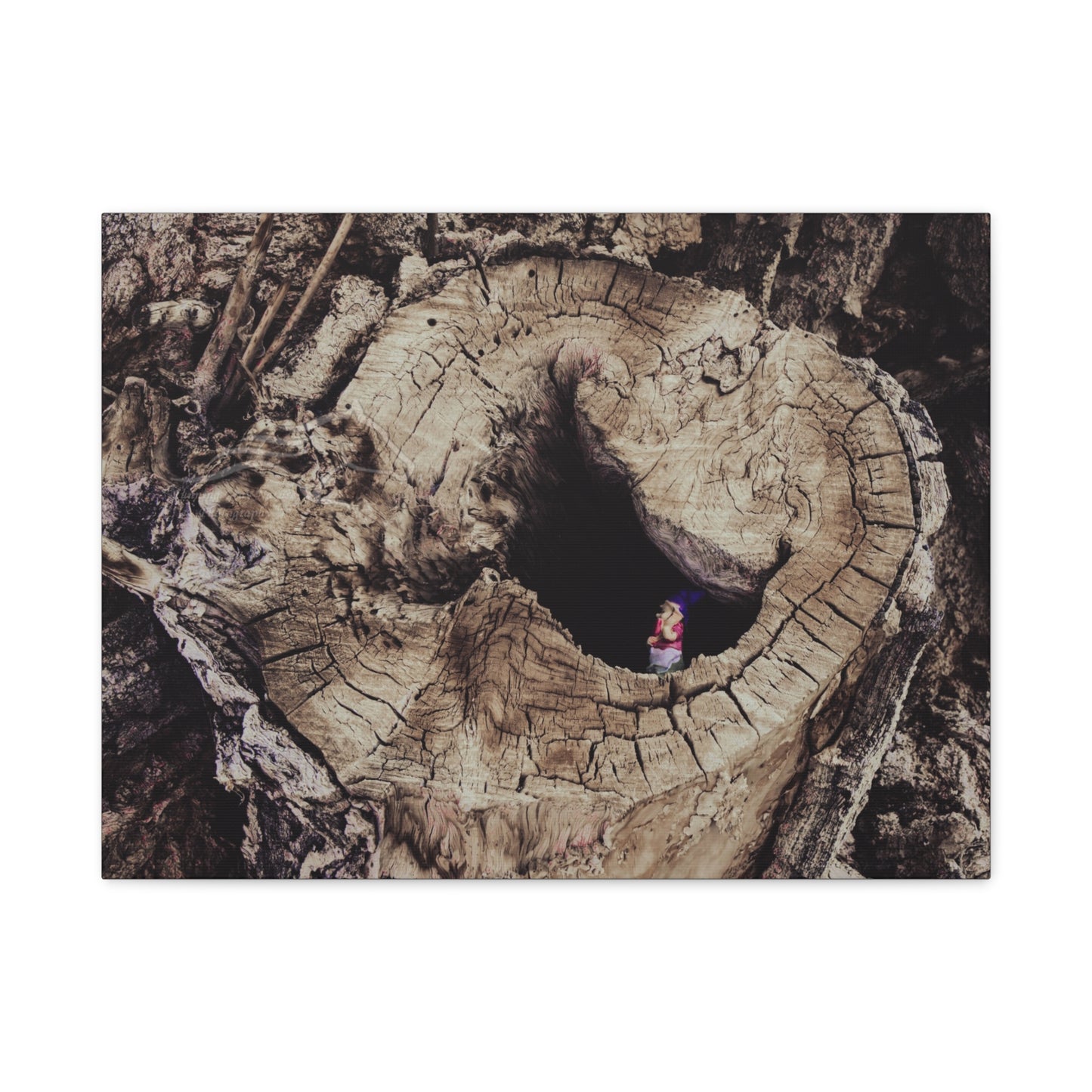 Fairy in a Tree Canvas