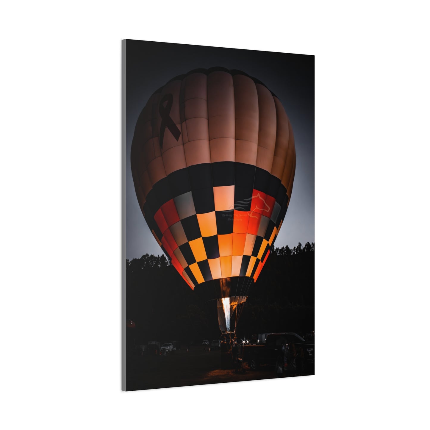 Hot Air Balloon Canvas