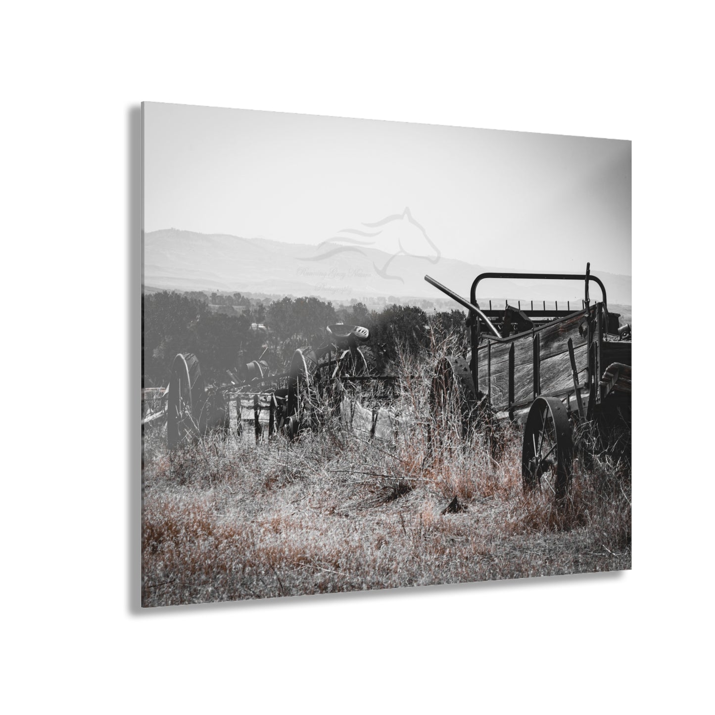 Rustic Black and White Wagon Acrylic