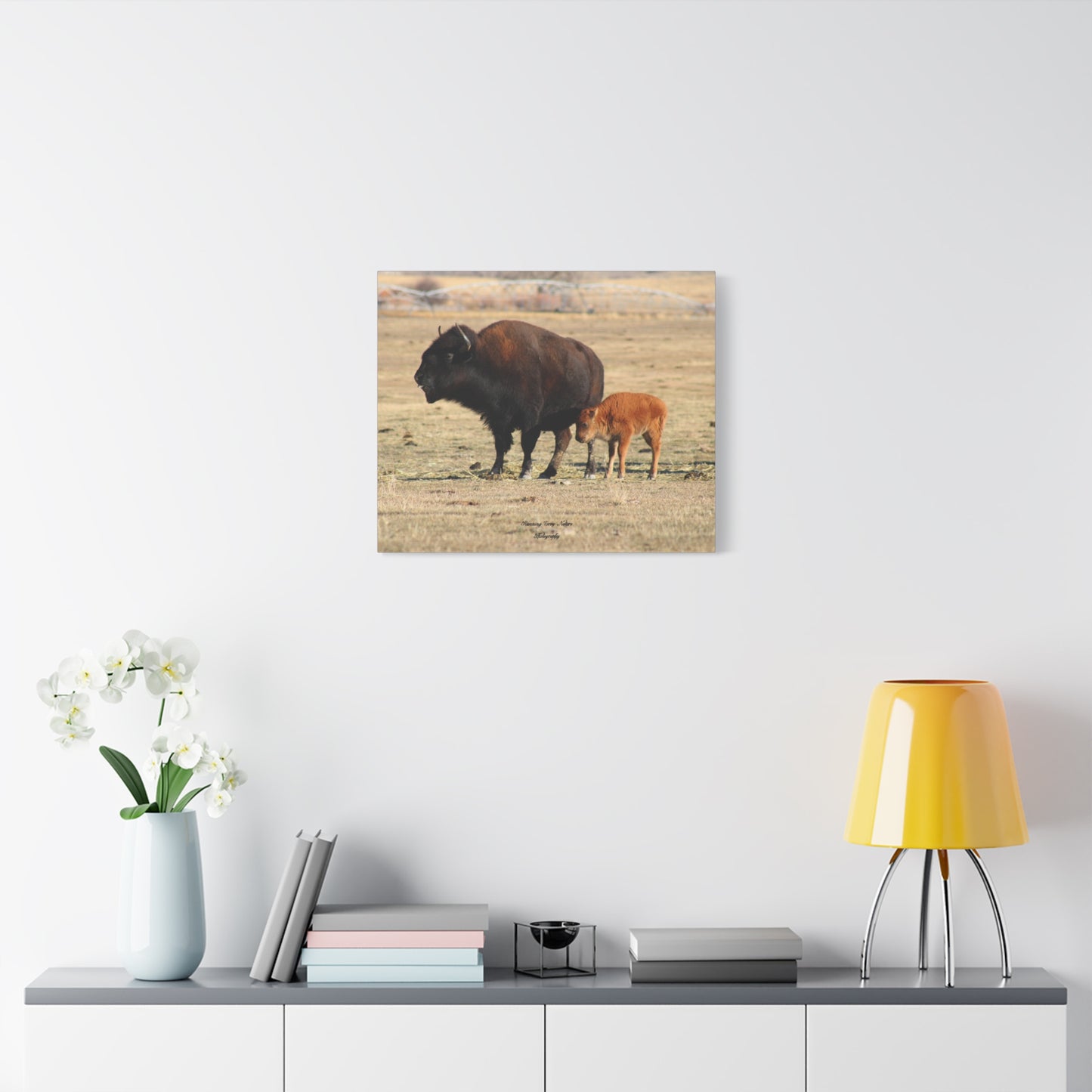 Momma and Baby Buffalo Matte Canvas, Stretched, 1.25"