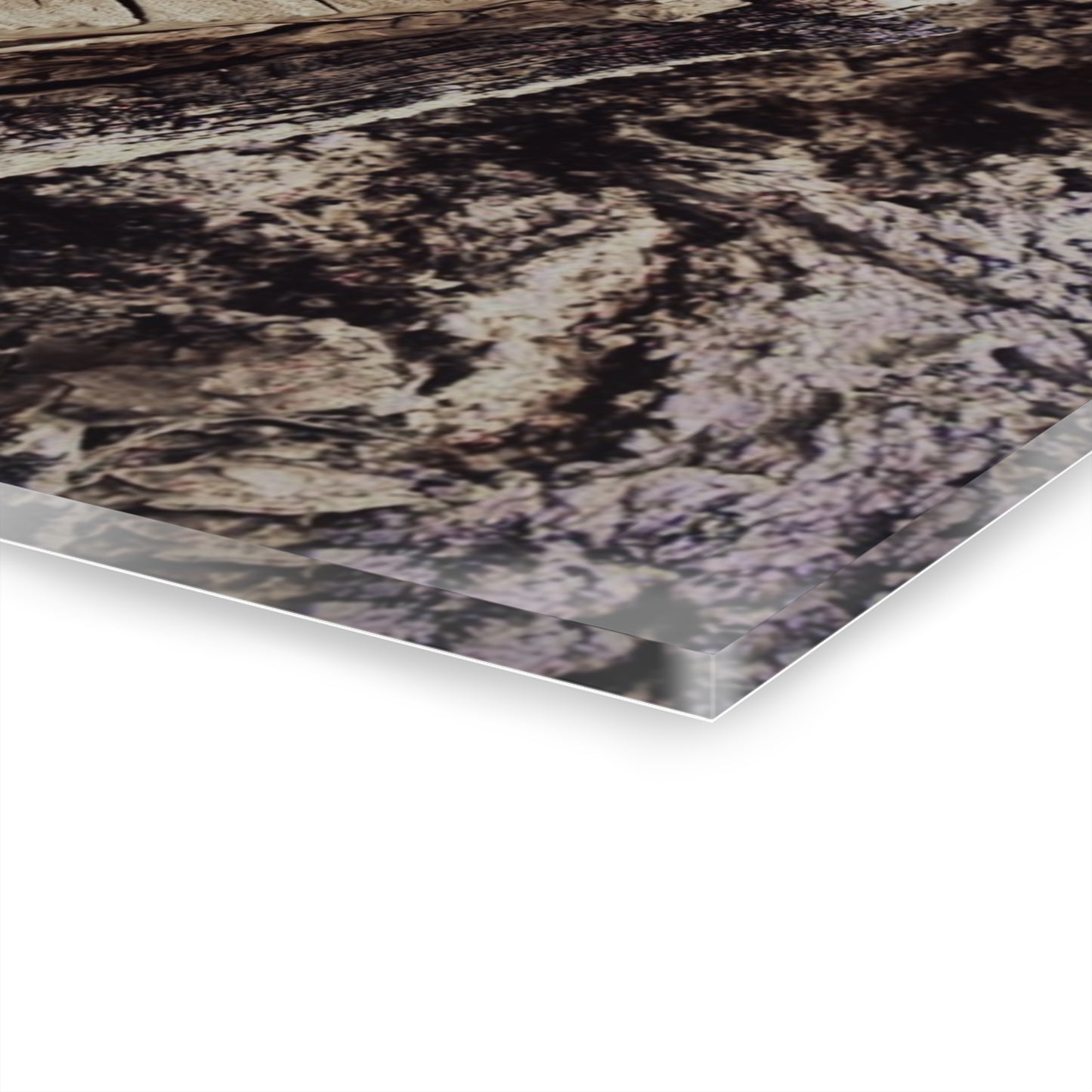 Fairy in a Tree Acrylic