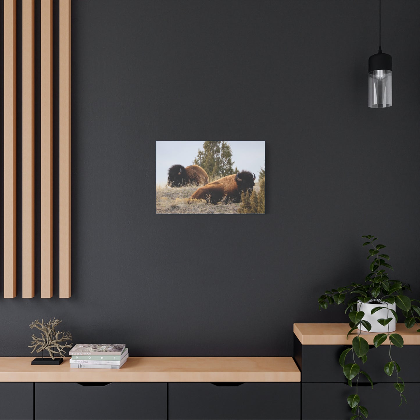 Two Bull Buffalo Canvas