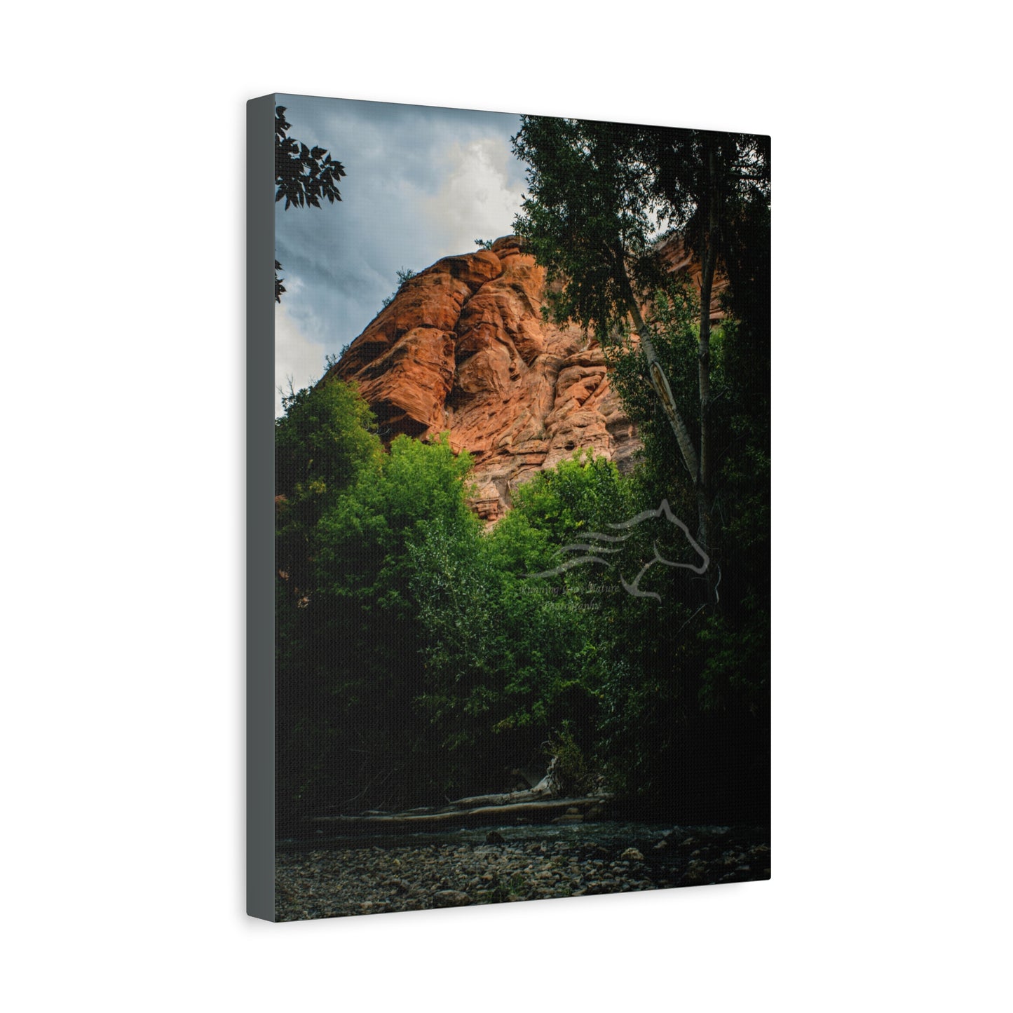 Red Rock Near Ayres Natural Bridge Canvas