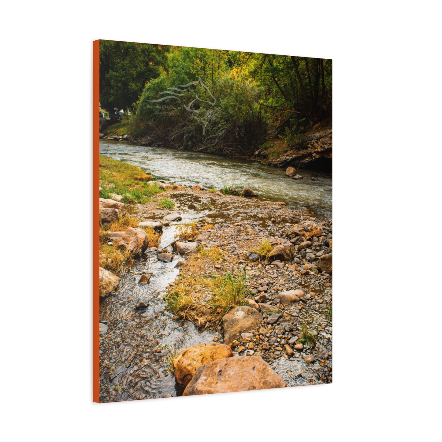 By the Water Ayres Natural Bridge Canvas