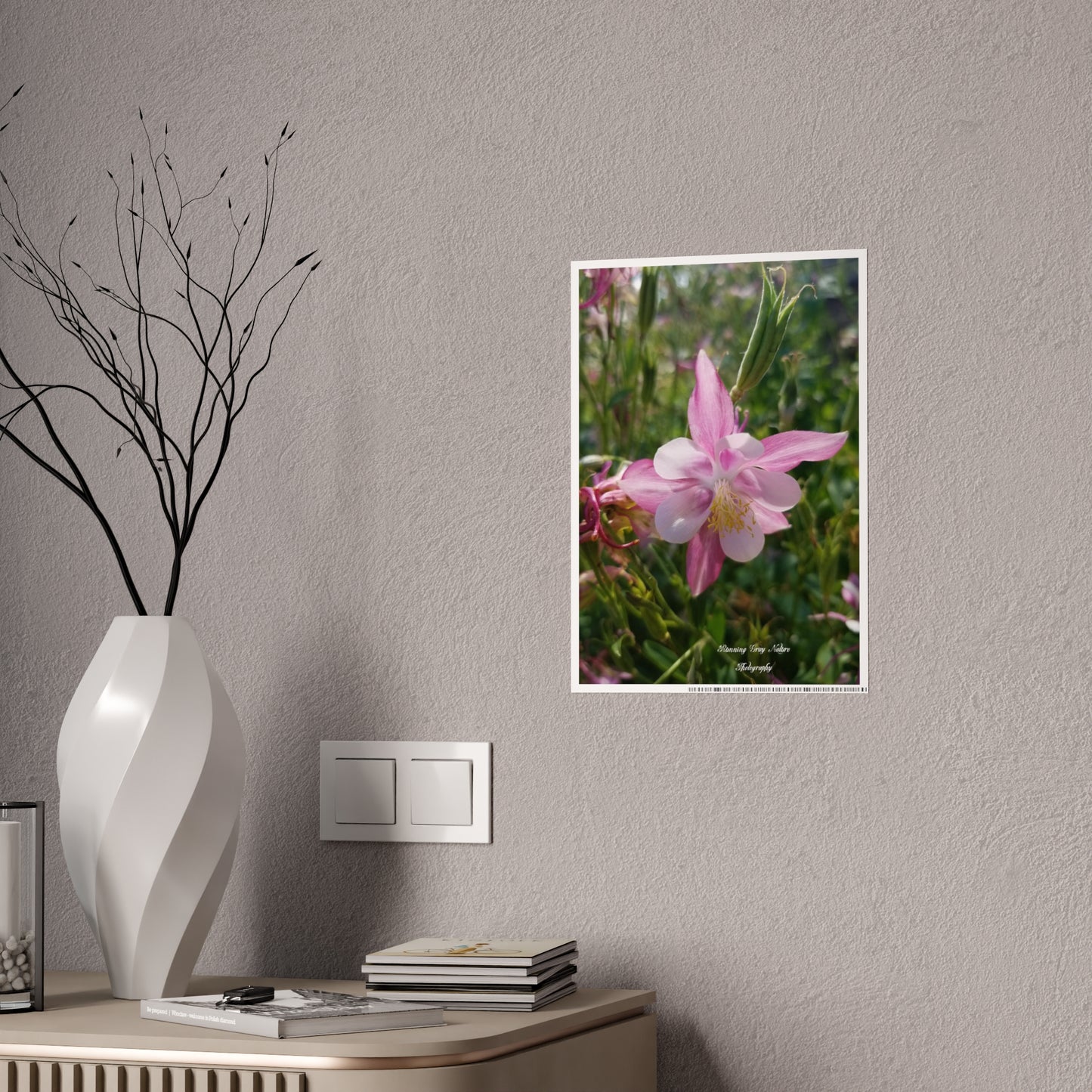 Posters Board Pink Columbine