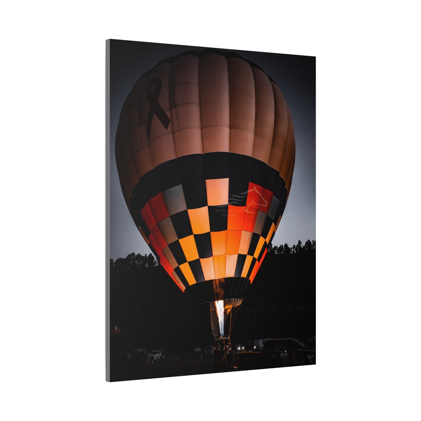 Hot Air Balloon Canvas