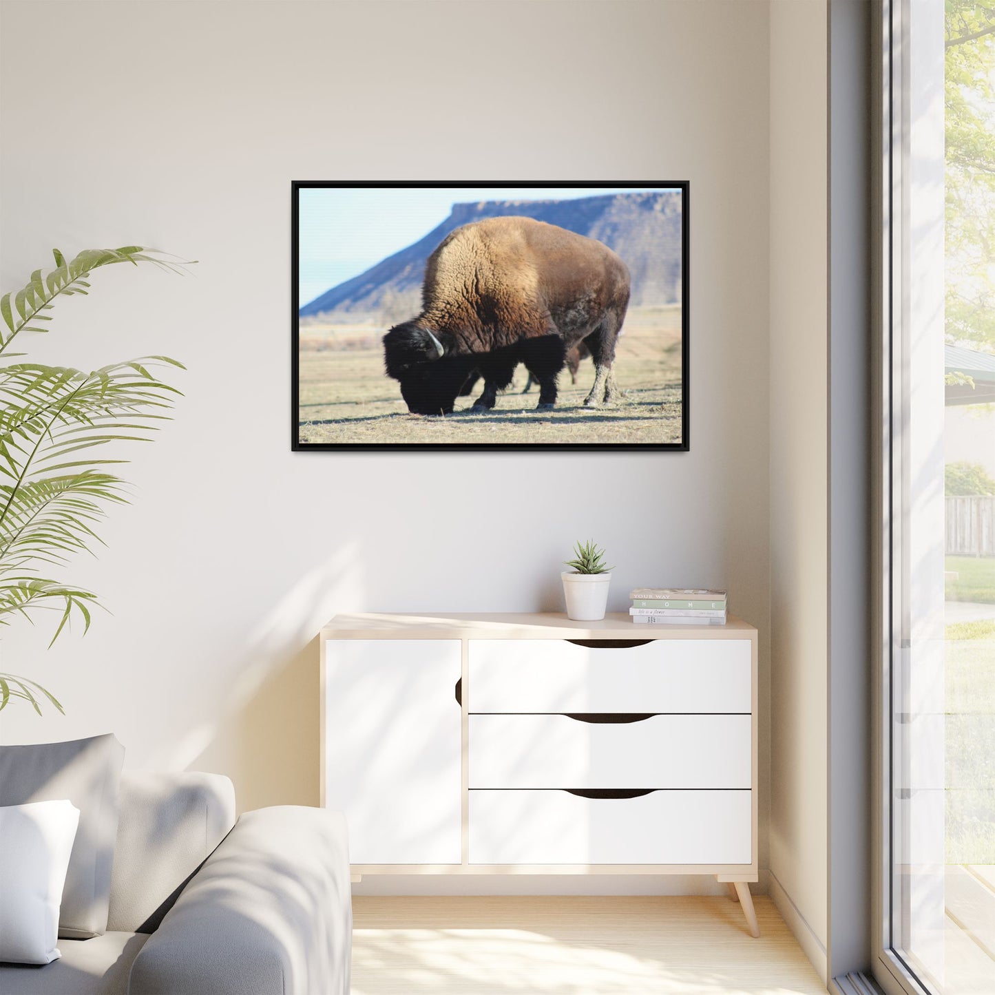 Big Daddy Buffalo Framed Canvas