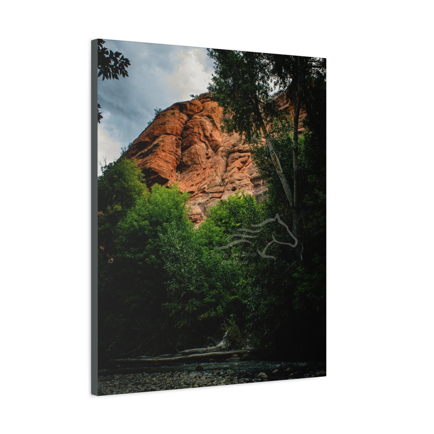 Red Rock Near Ayres Natural Bridge Canvas