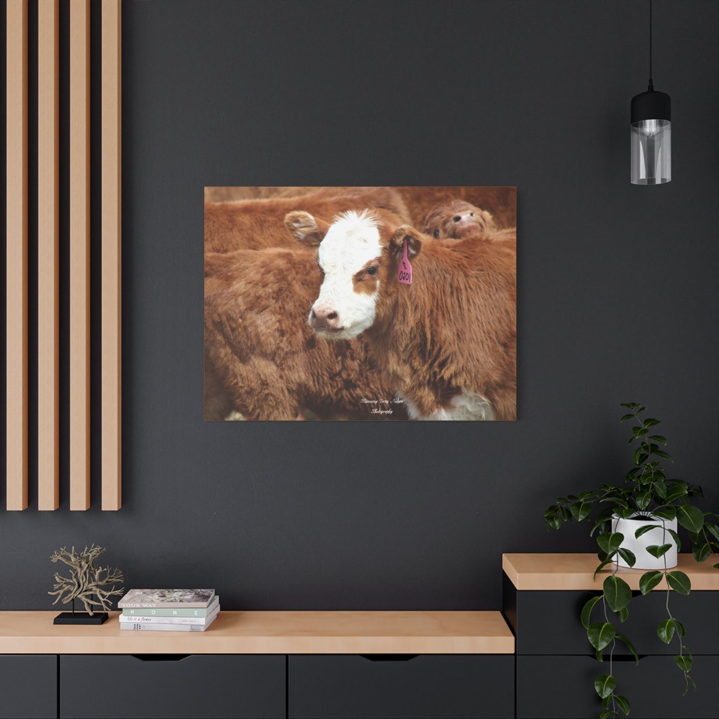 Red, White-Faced Calf Matte Canvas, Stretched, 1.25"