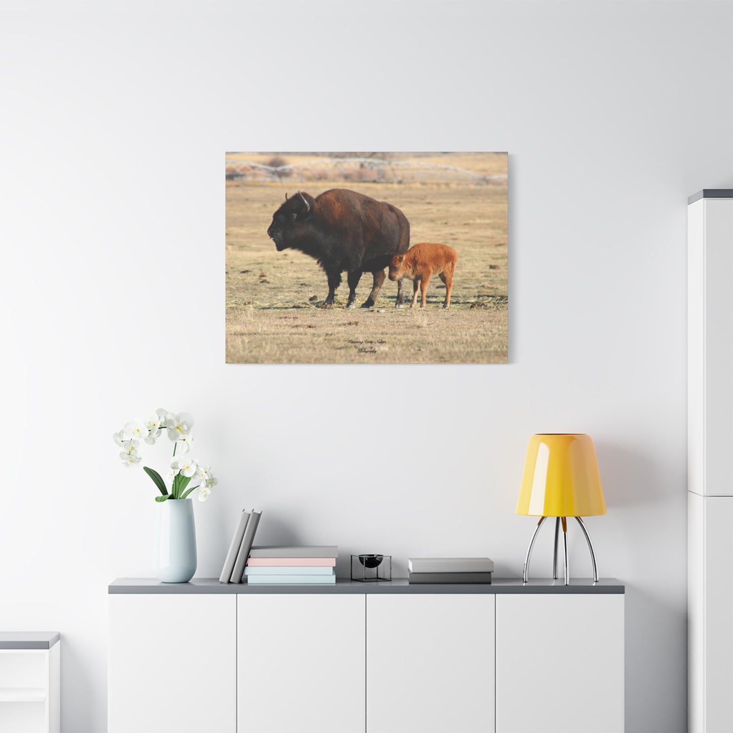 Momma and Baby Buffalo Matte Canvas, Stretched, 1.25"